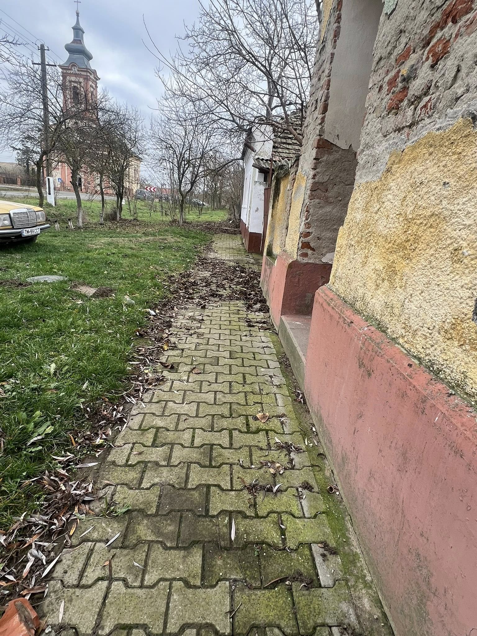 centenar schwarz la dolat (2)