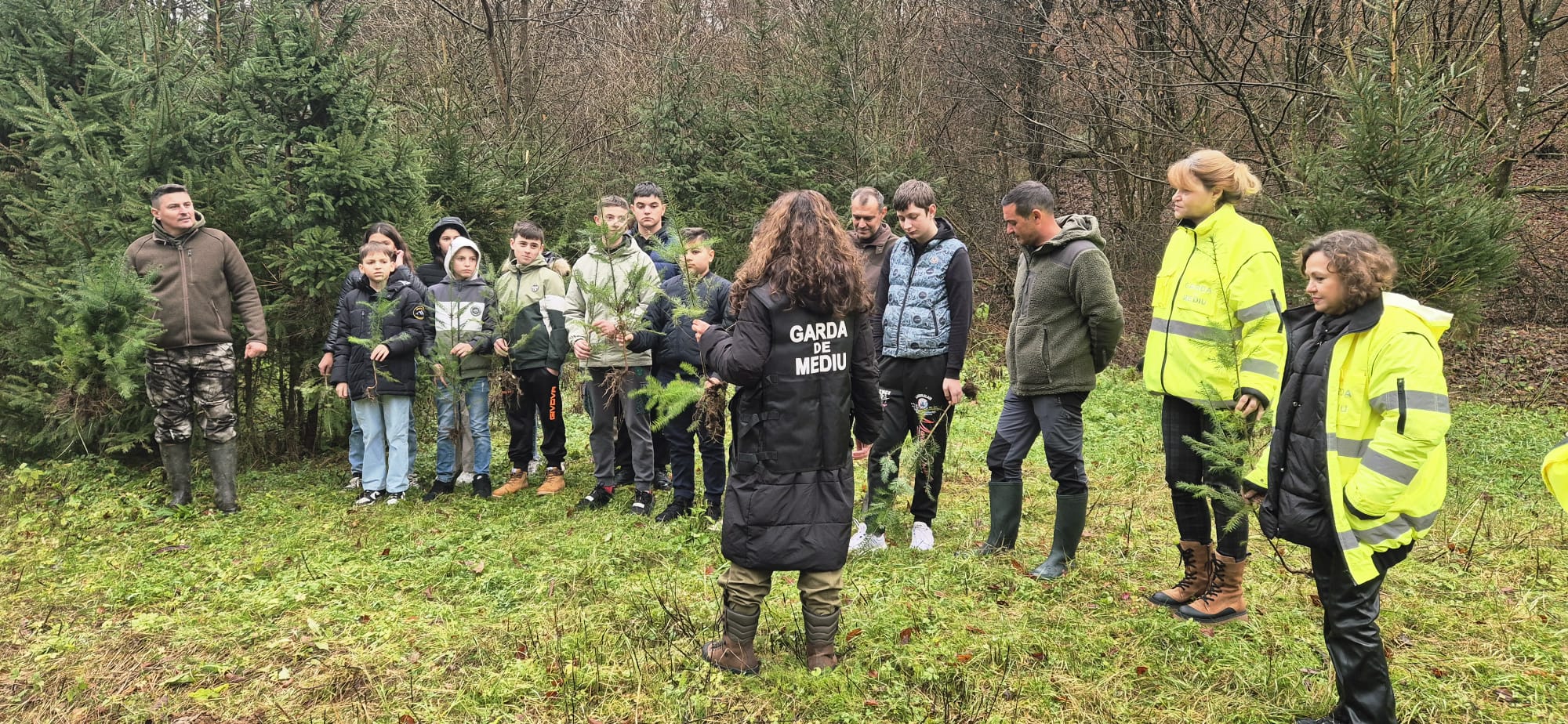 plantare copaci cosava (4)