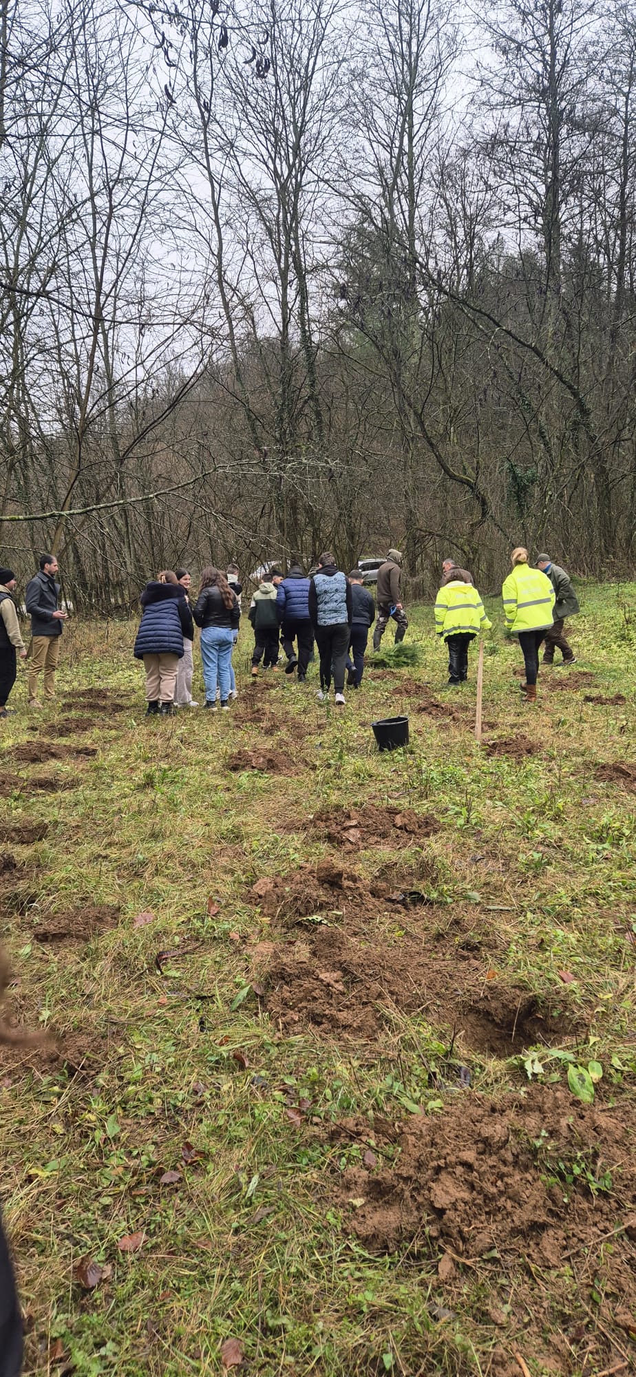 plantare copaci cosava (1)