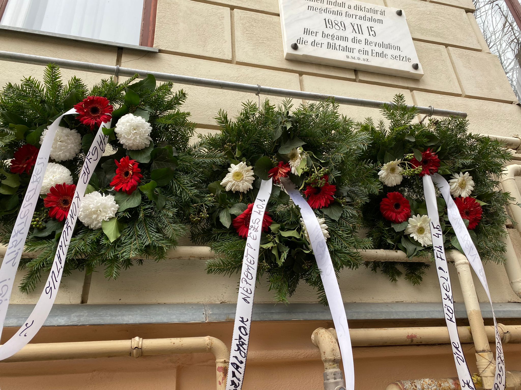 WhatsApp Image 2025-12-14 at 12.53.23