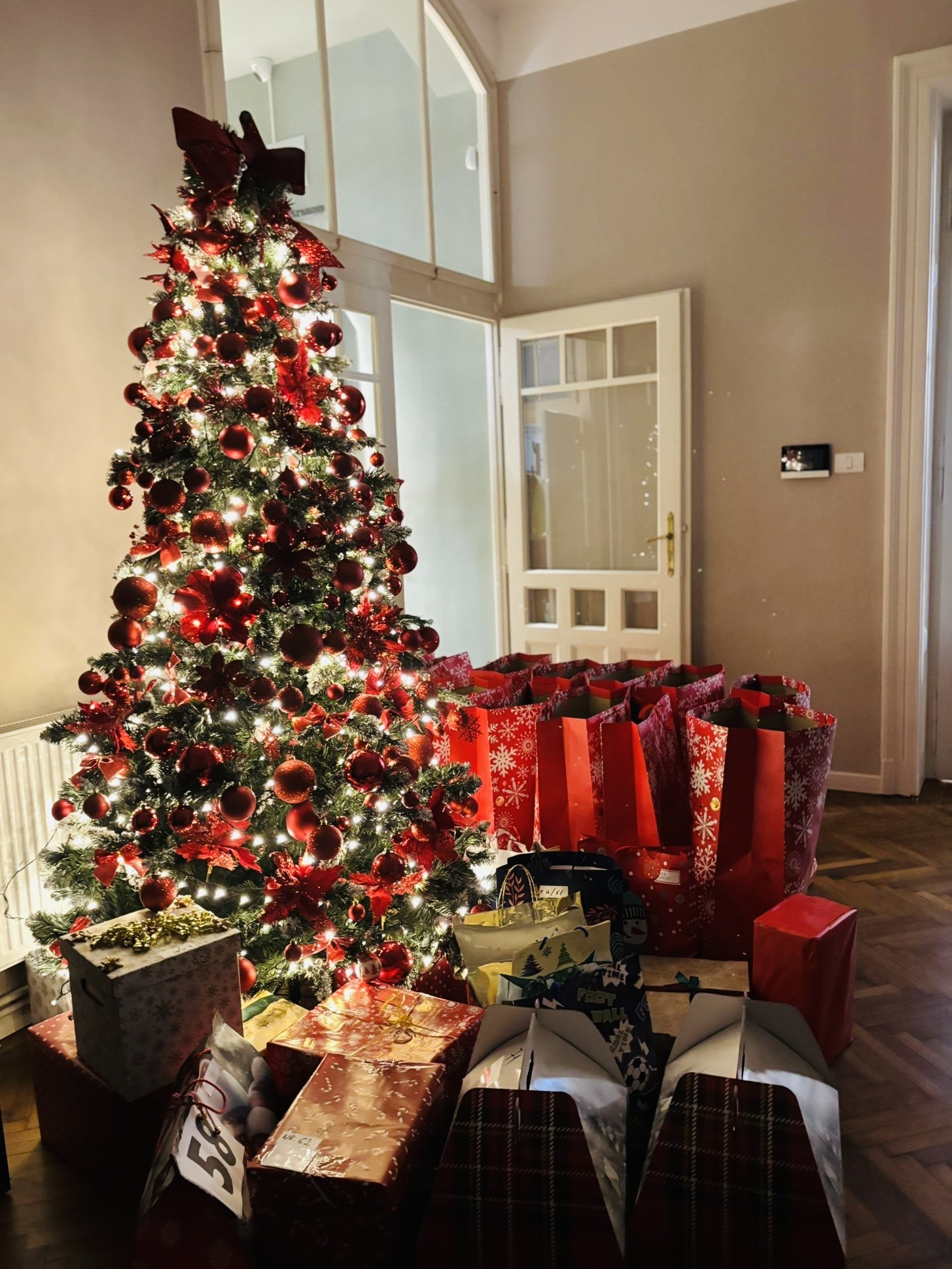 Dăruiește_poză principală articol