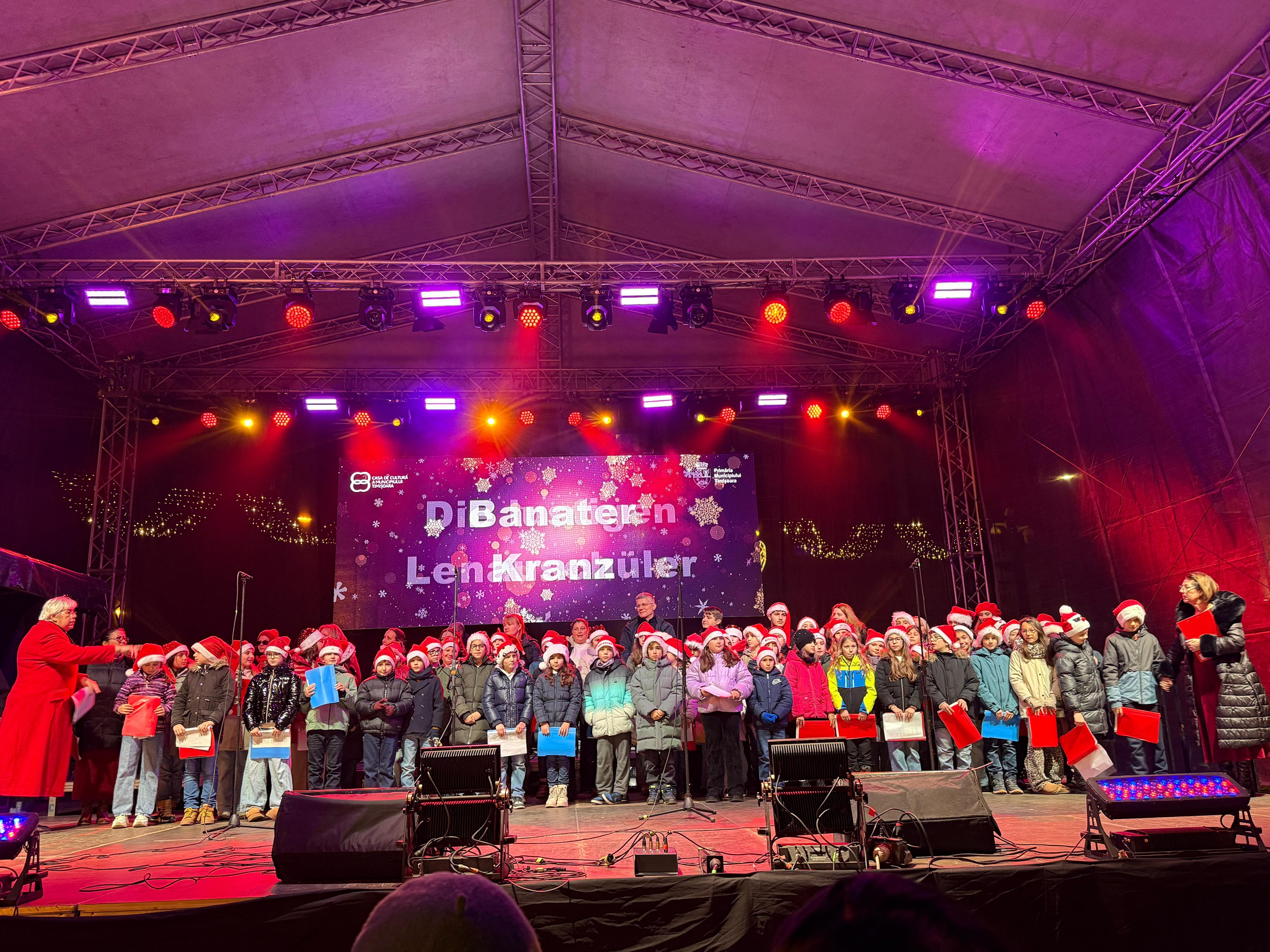 elevi liceu lenau targ de craciun (1)