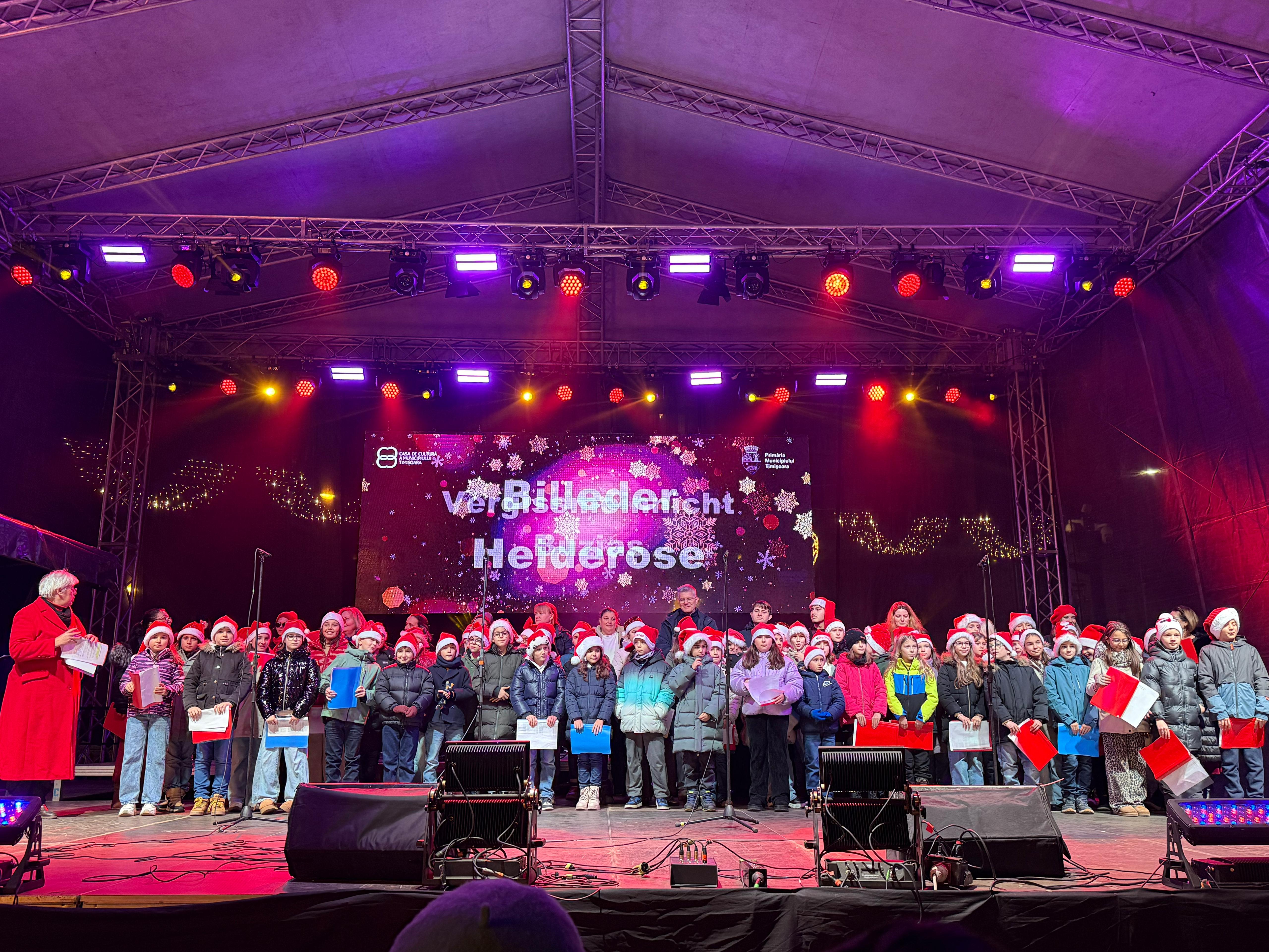 elevi liceu lenau targ de craciun (2)