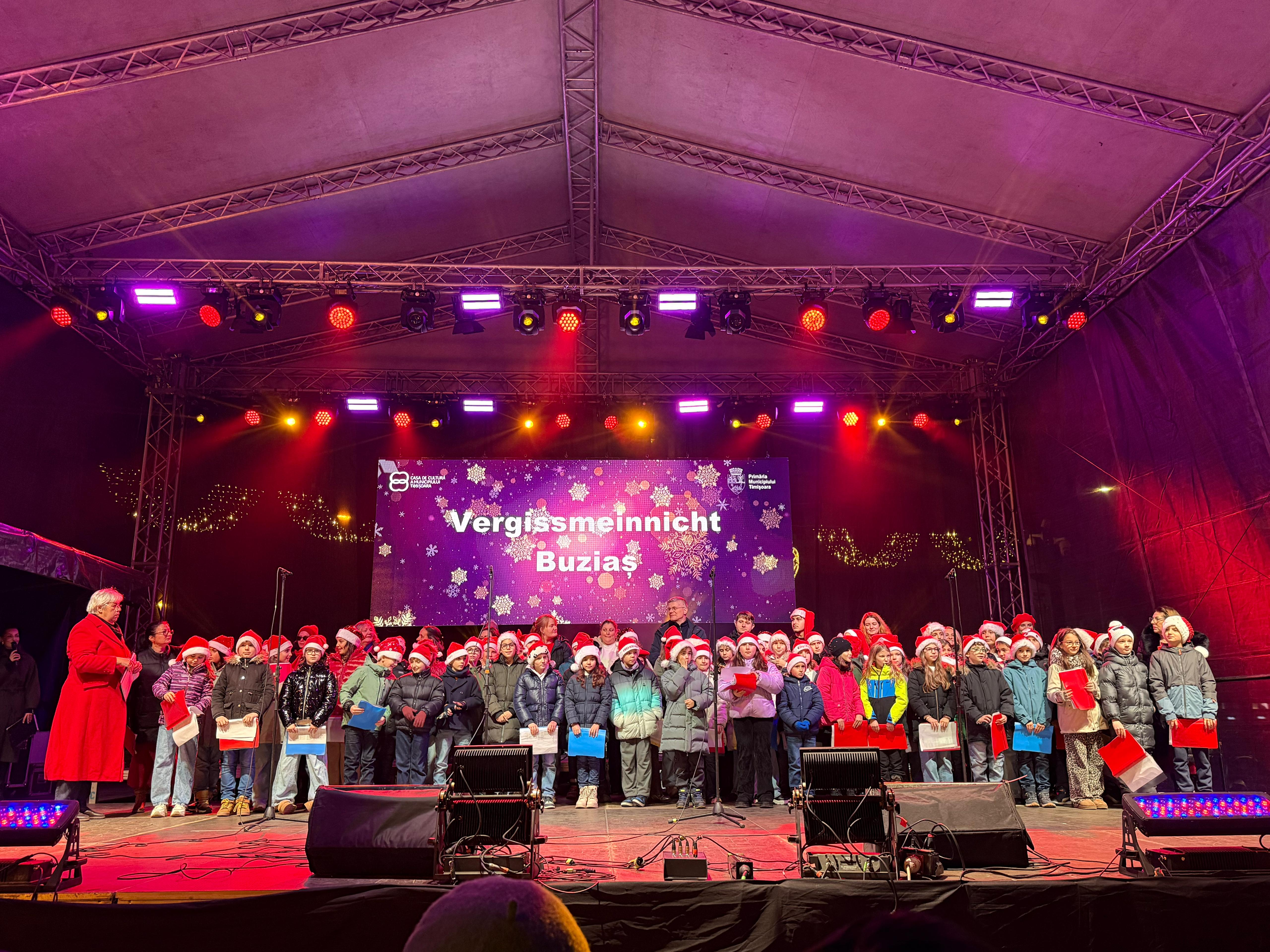 elevi liceu lenau targ de craciun (3)