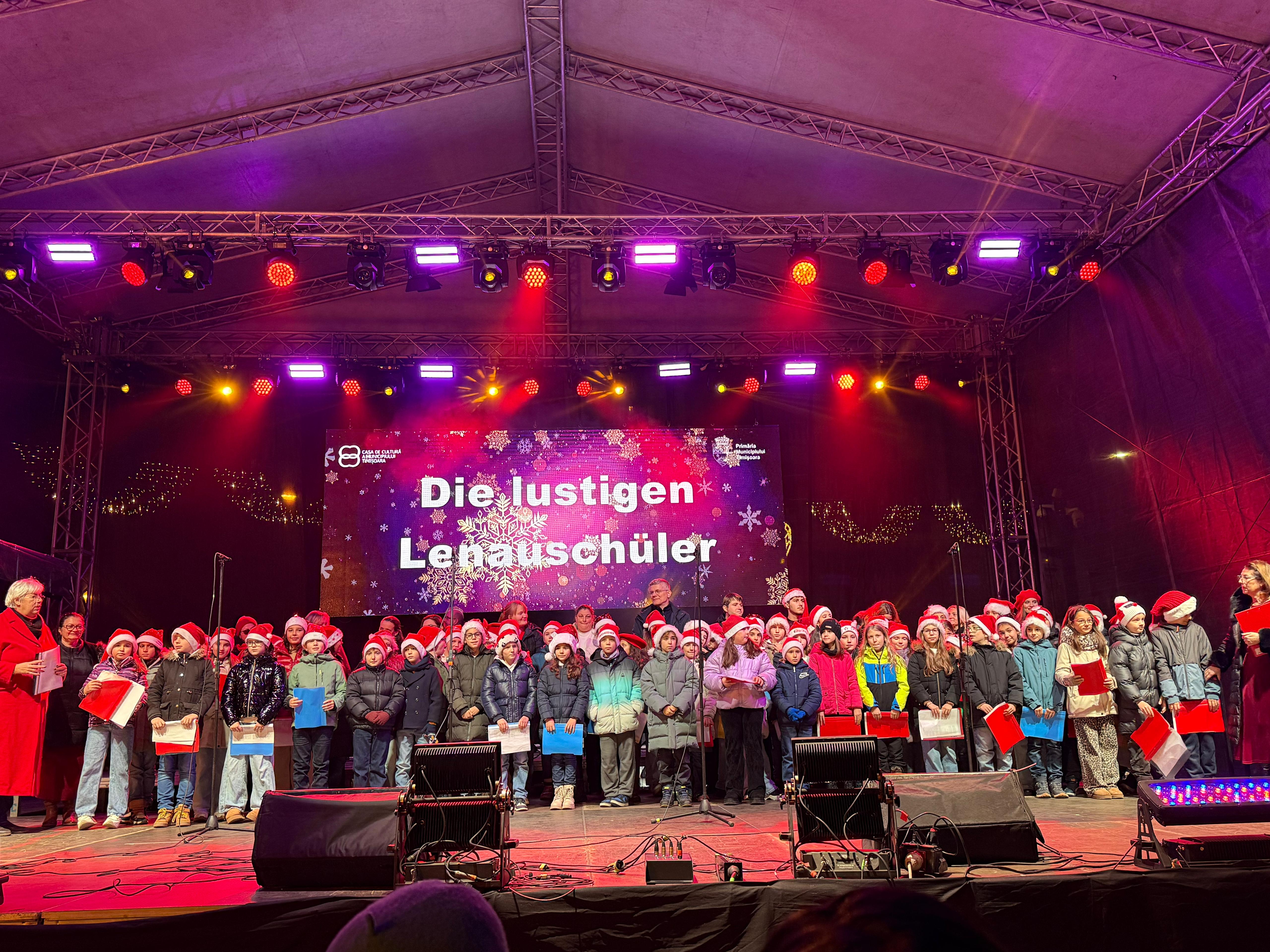 elevi liceu lenau targ de craciun (4)