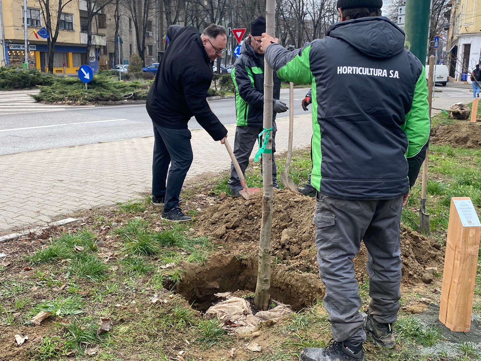 plantare arbori in memoria eroilor de la revolutie (1)