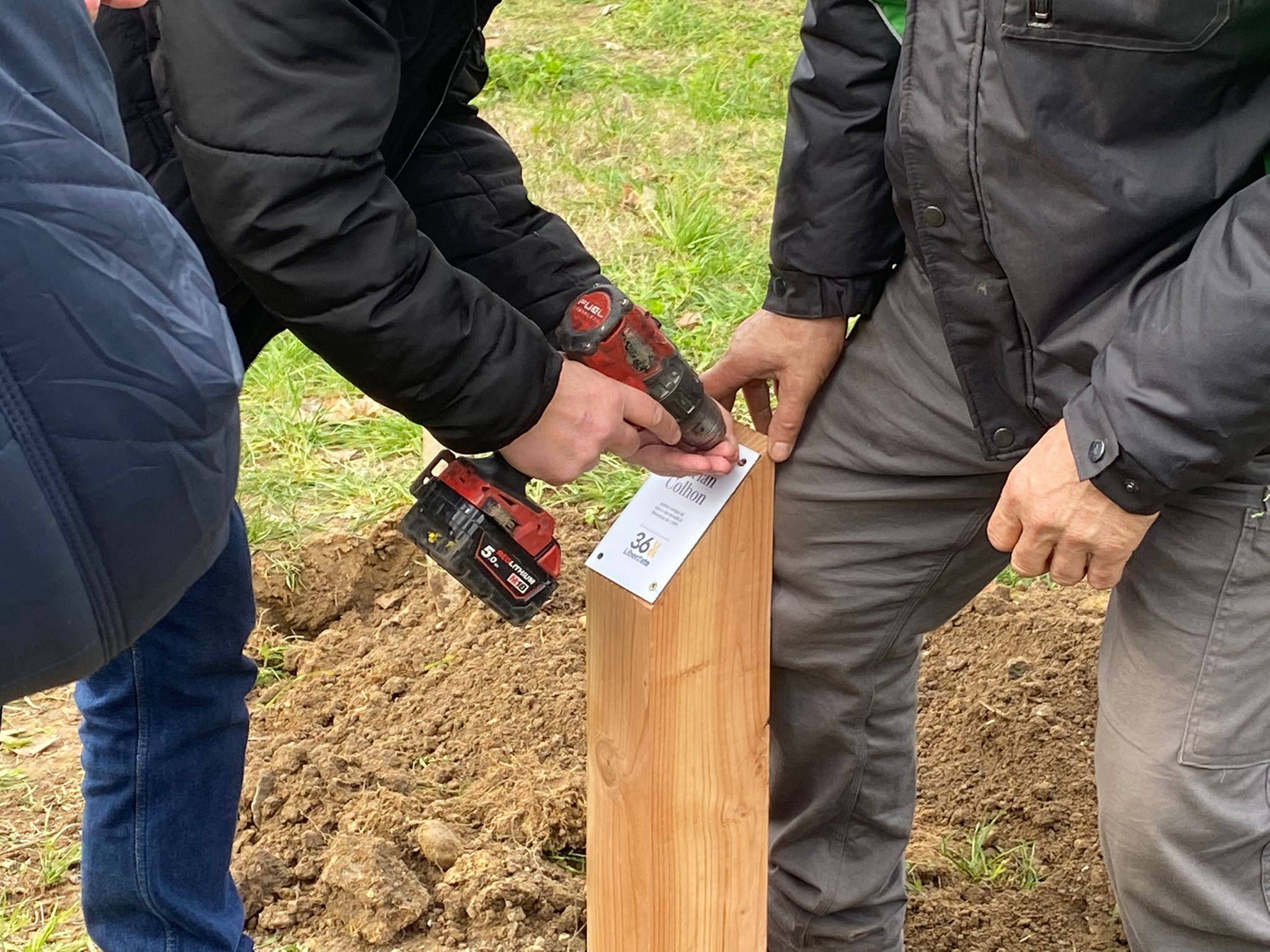 plantare arbori in memoria eroilor de la revolutie (2)