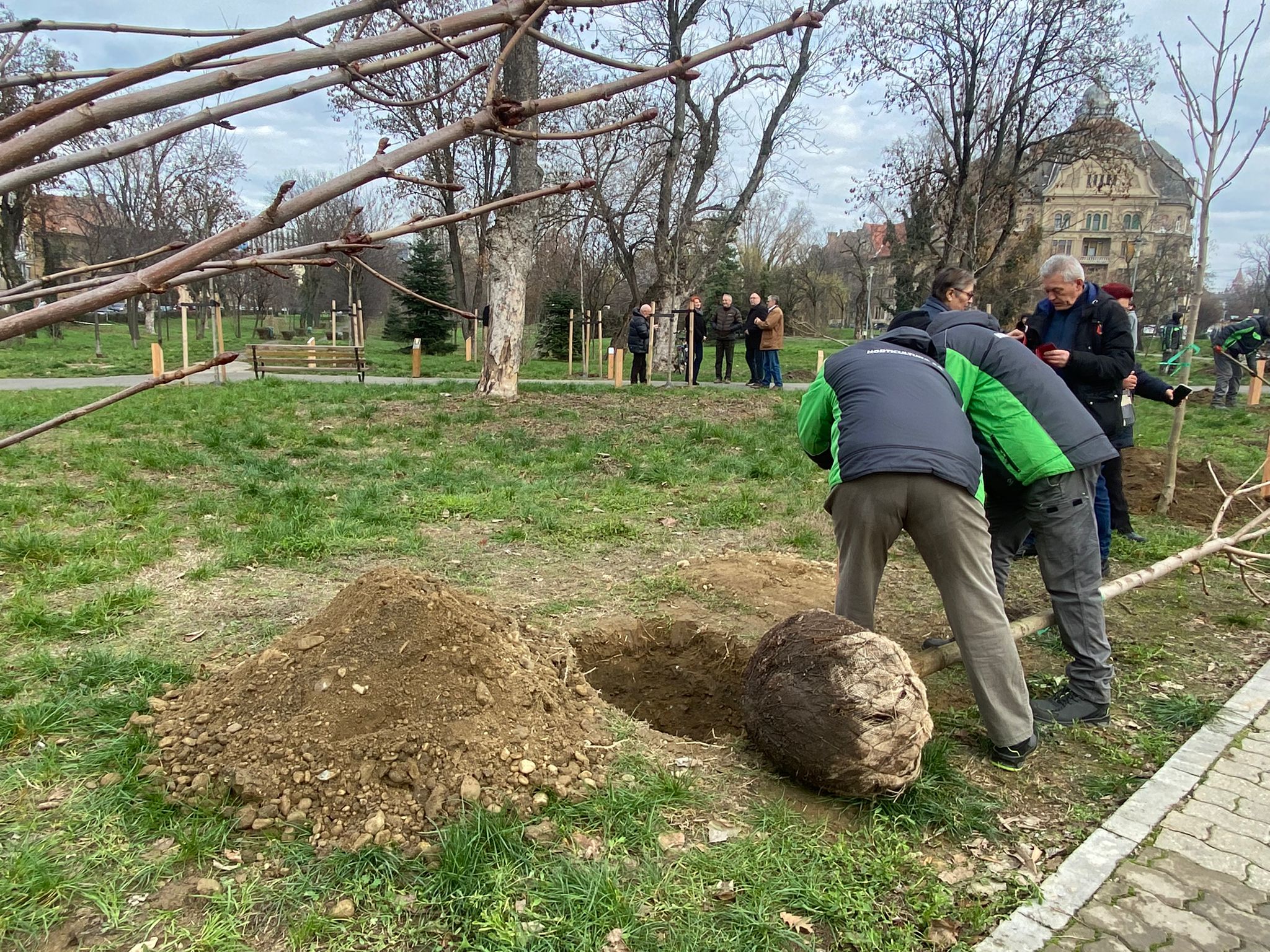 plantare arbori in memoria eroilor de la revolutie (3)