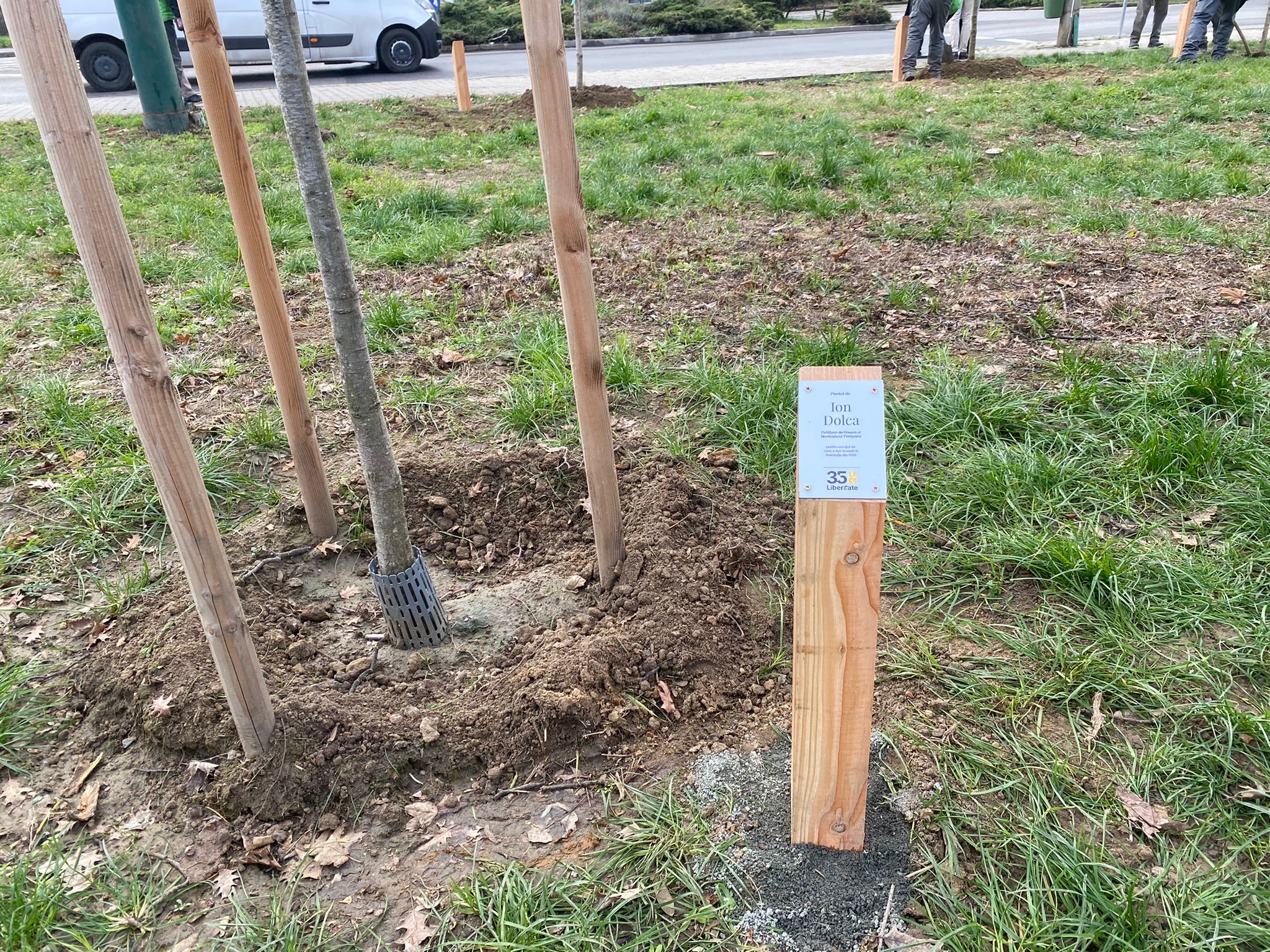 plantare arbori in memoria eroilor de la revolutie (9)