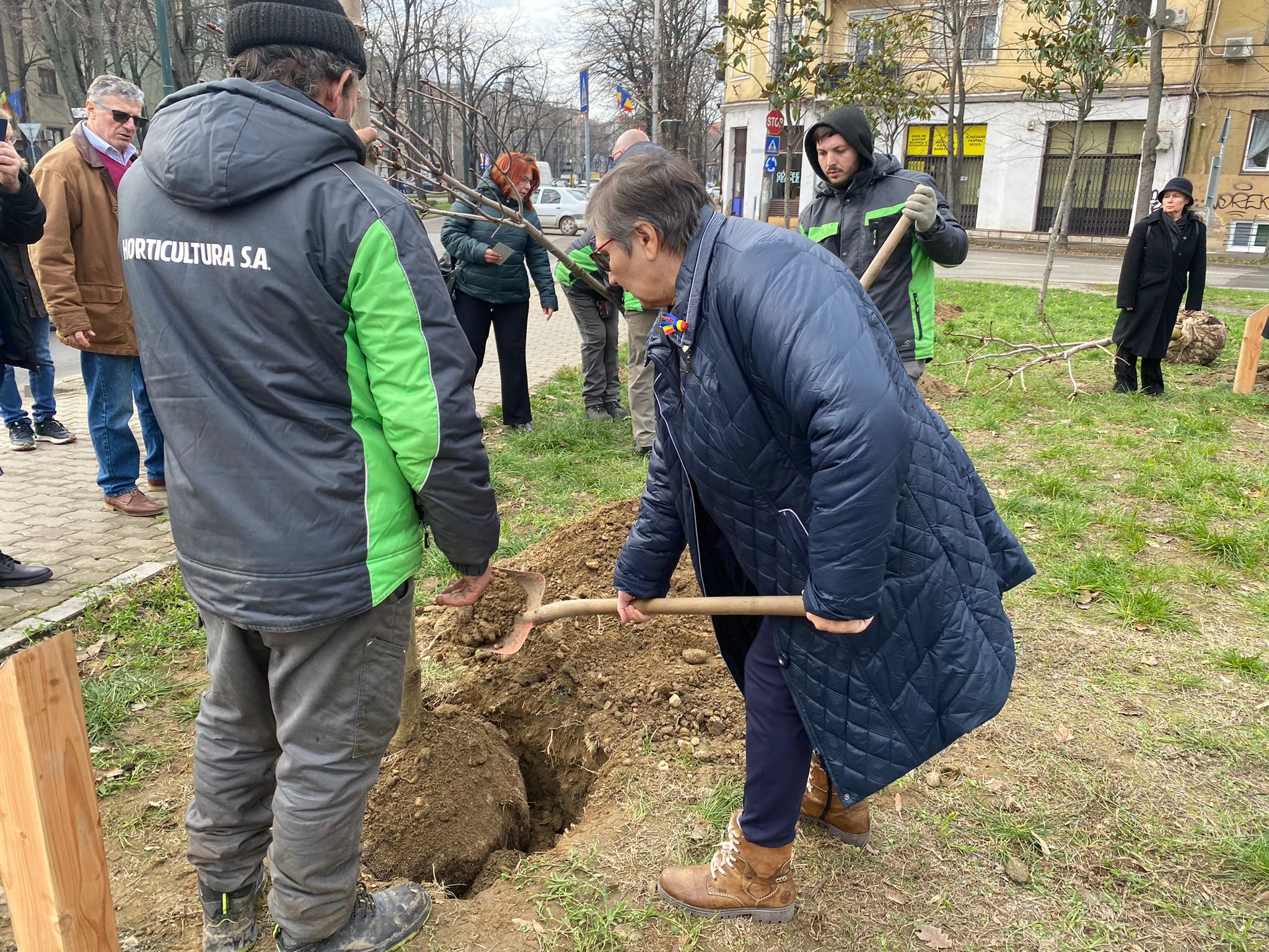plantare arbori in memoria eroilor de la revolutie (10)