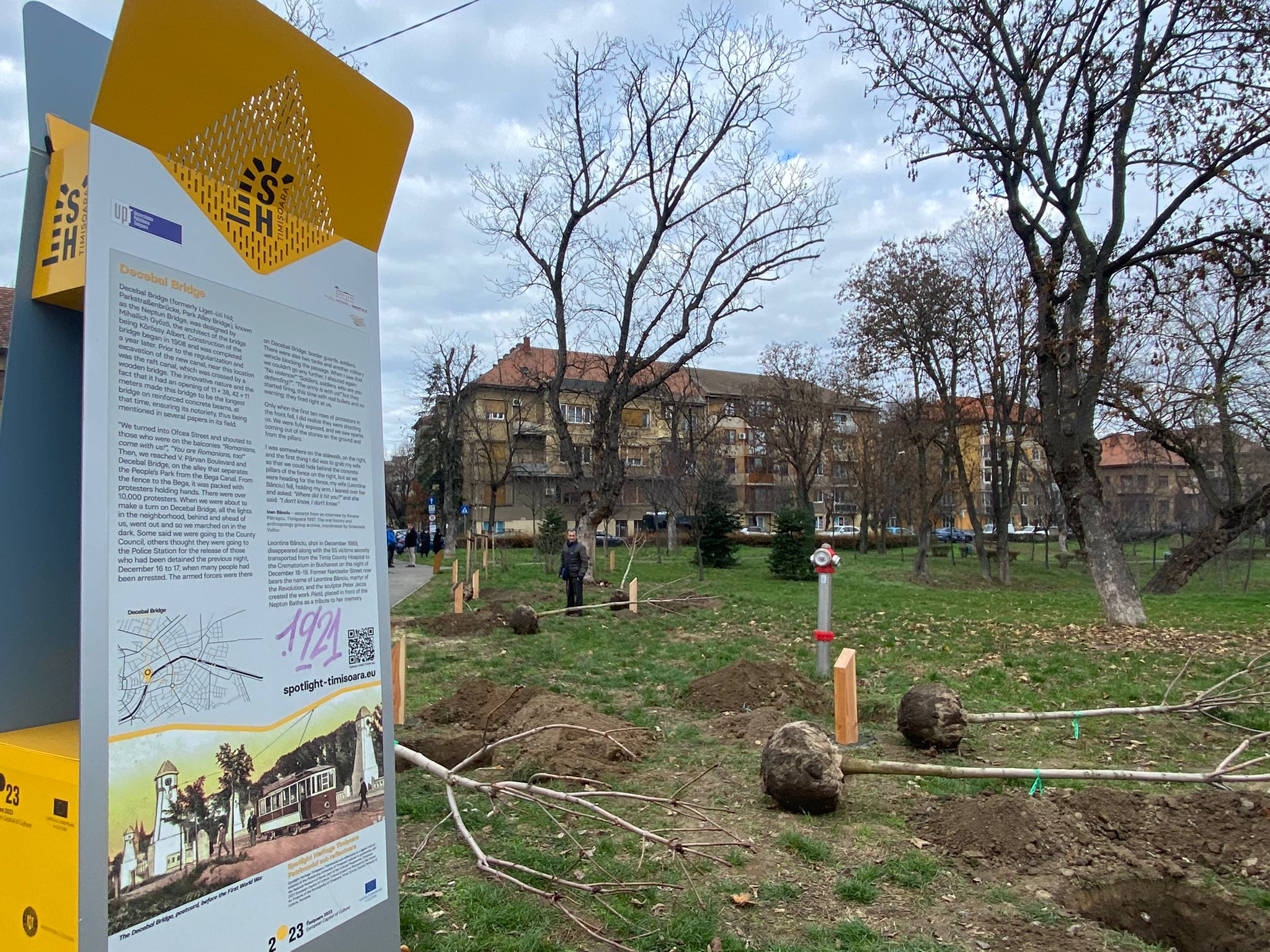 plantare arbori in memoria eroilor de la revolutie (17)