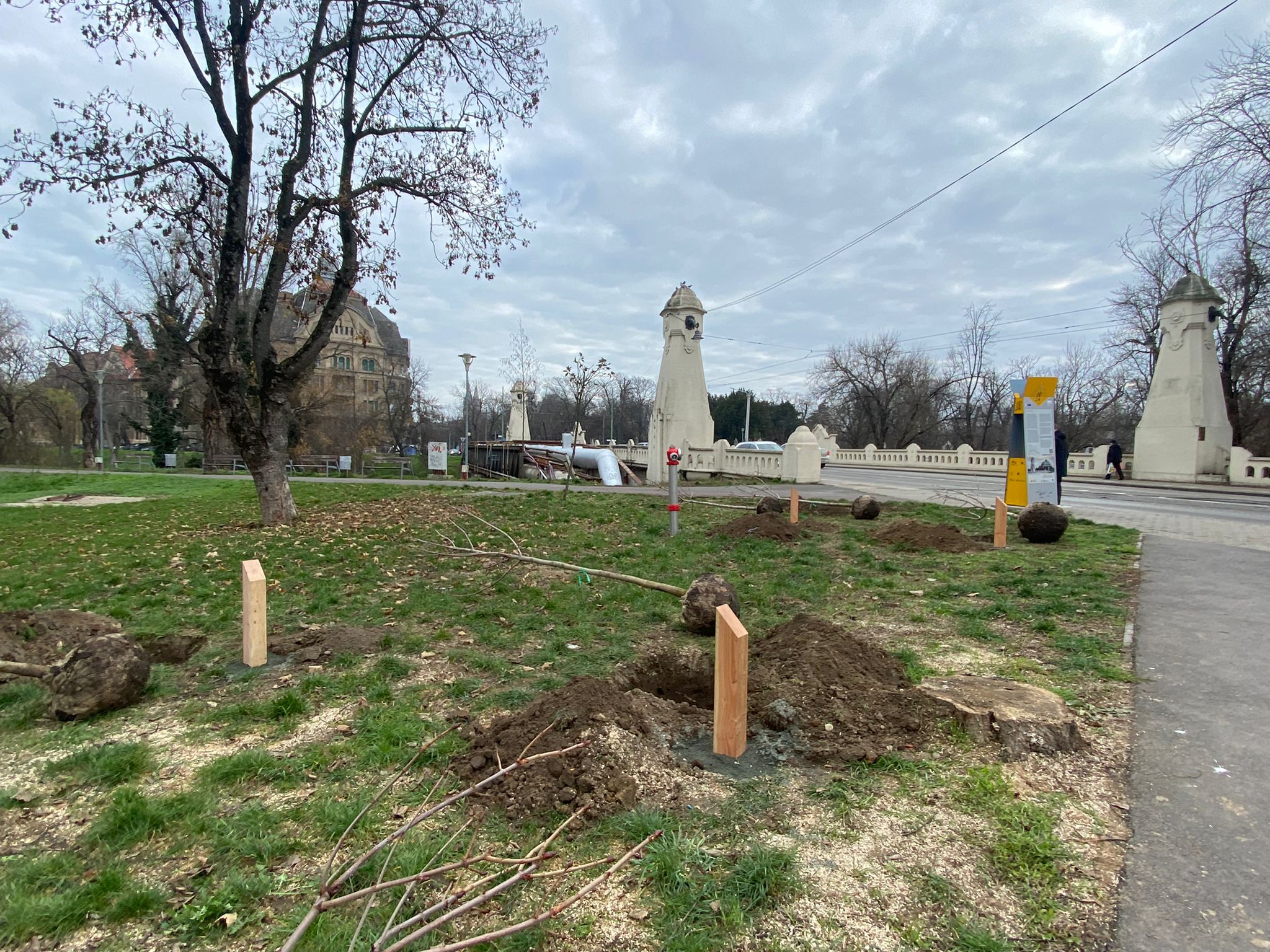 plantare arbori in memoria eroilor de la revolutie (18)