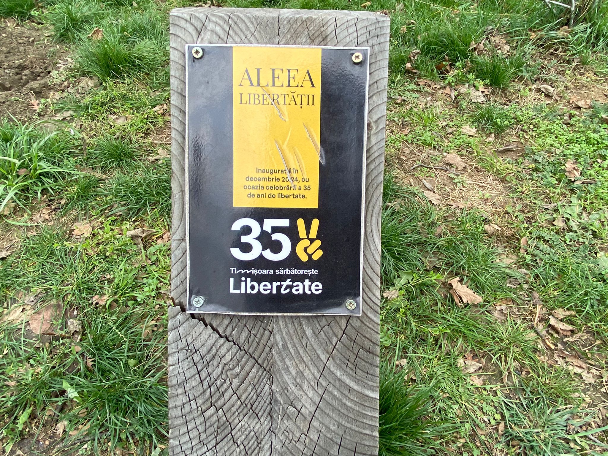 plantare arbori in memoria eroilor de la revolutie (20)