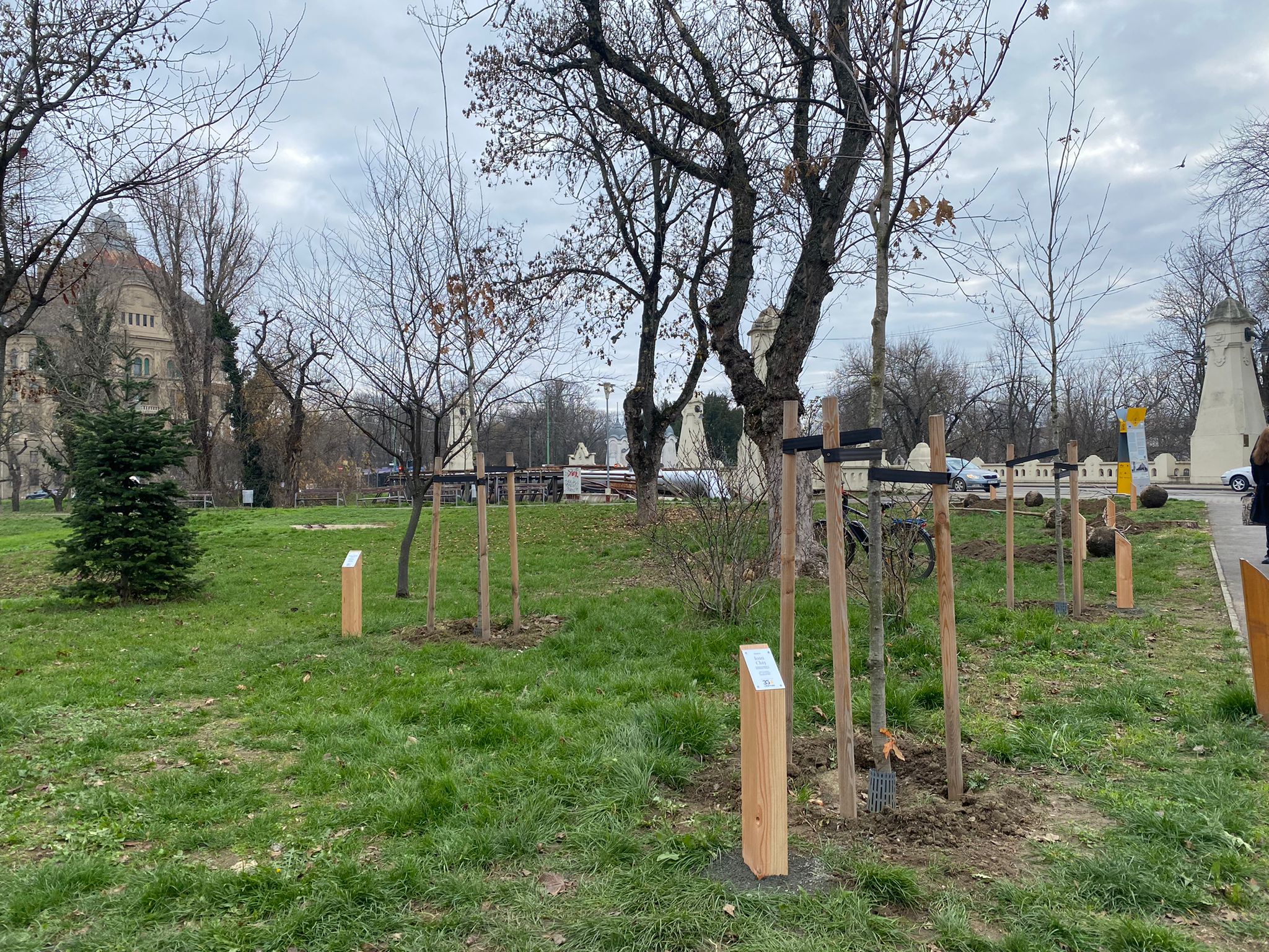 plantare arbori in memoria eroilor de la revolutie (25)