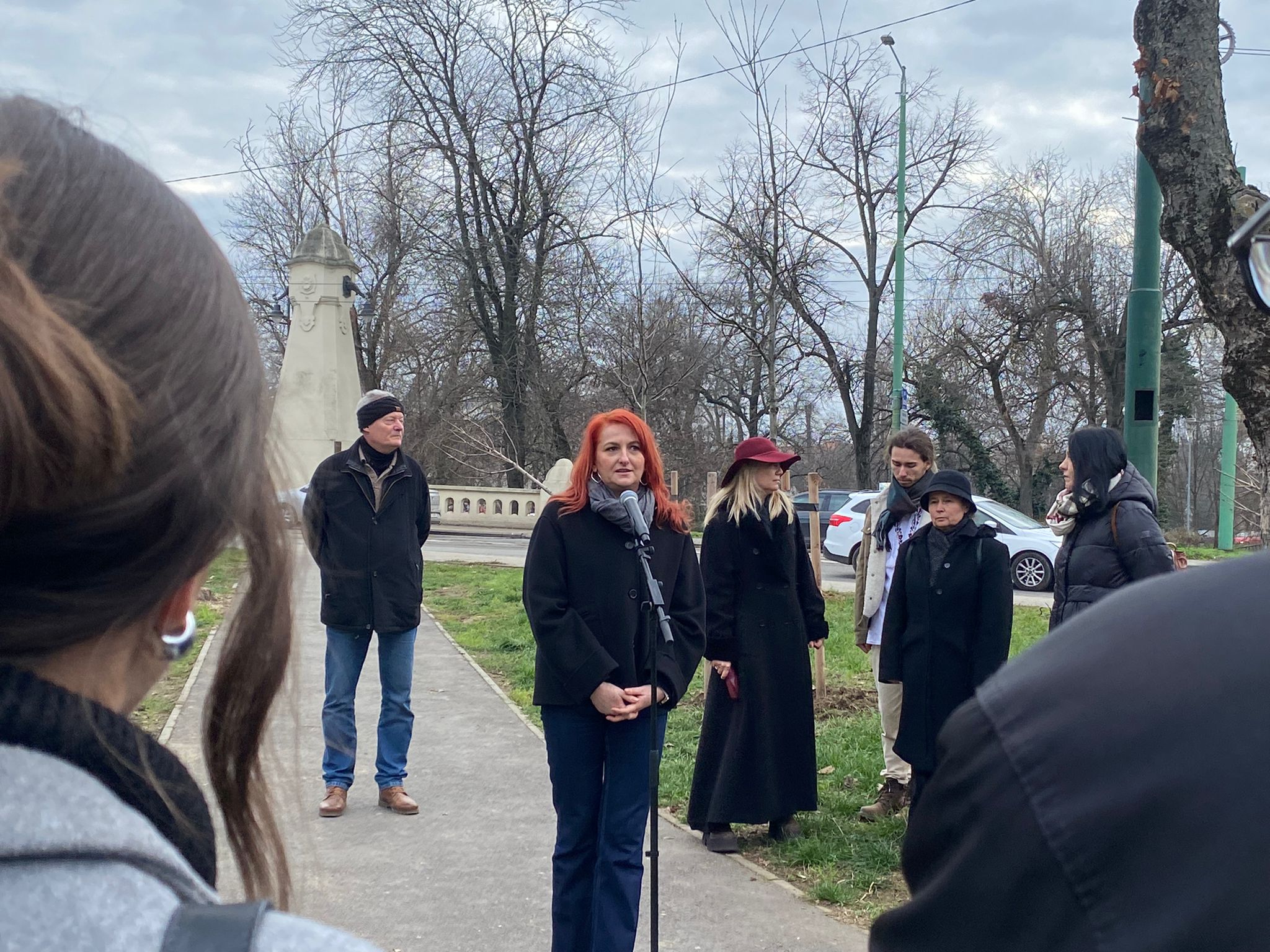 plantare arbori in memoria eroilor de la revolutie (29)