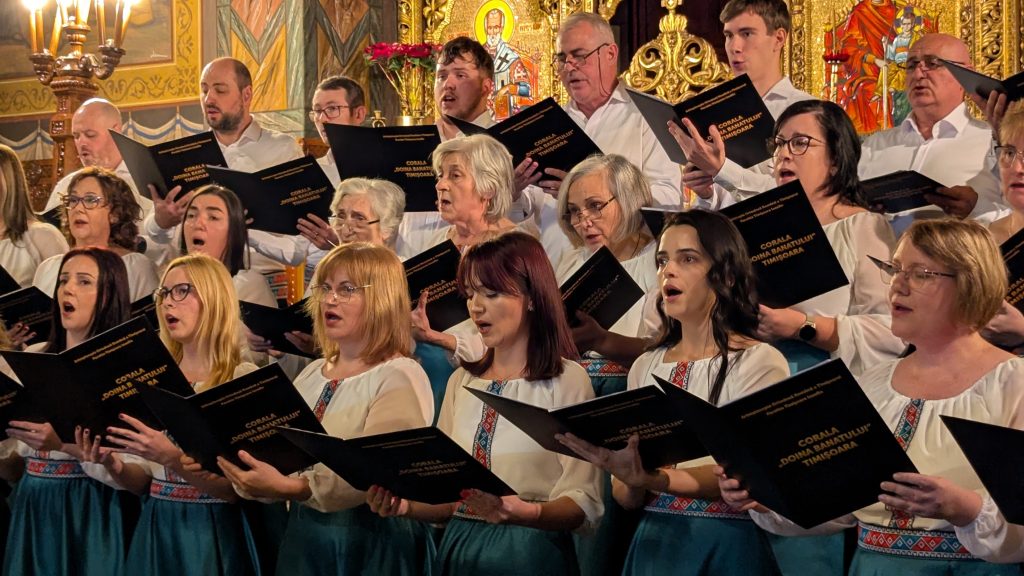 PXL_20251221_153113056-1024x576