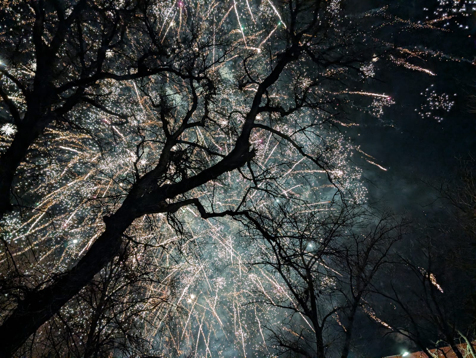 WhatsApp Image 2026-01-01 at 00.04.52 (2)