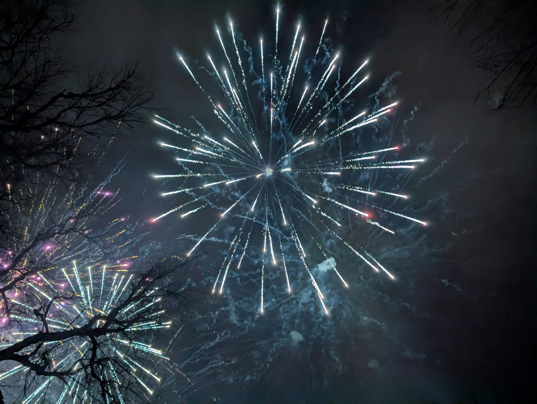 WhatsApp Image 2026-01-01 at 00.04.53