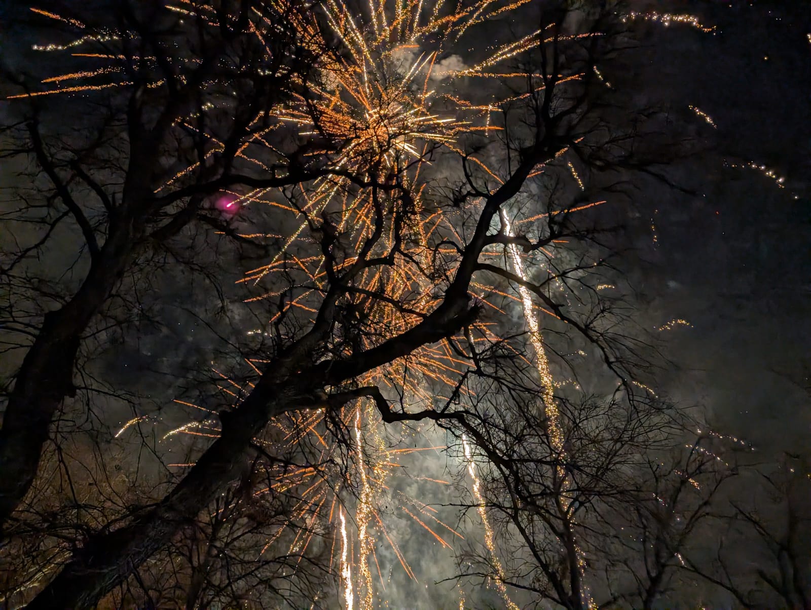 WhatsApp Image 2026-01-01 at 00.04.52 (1)