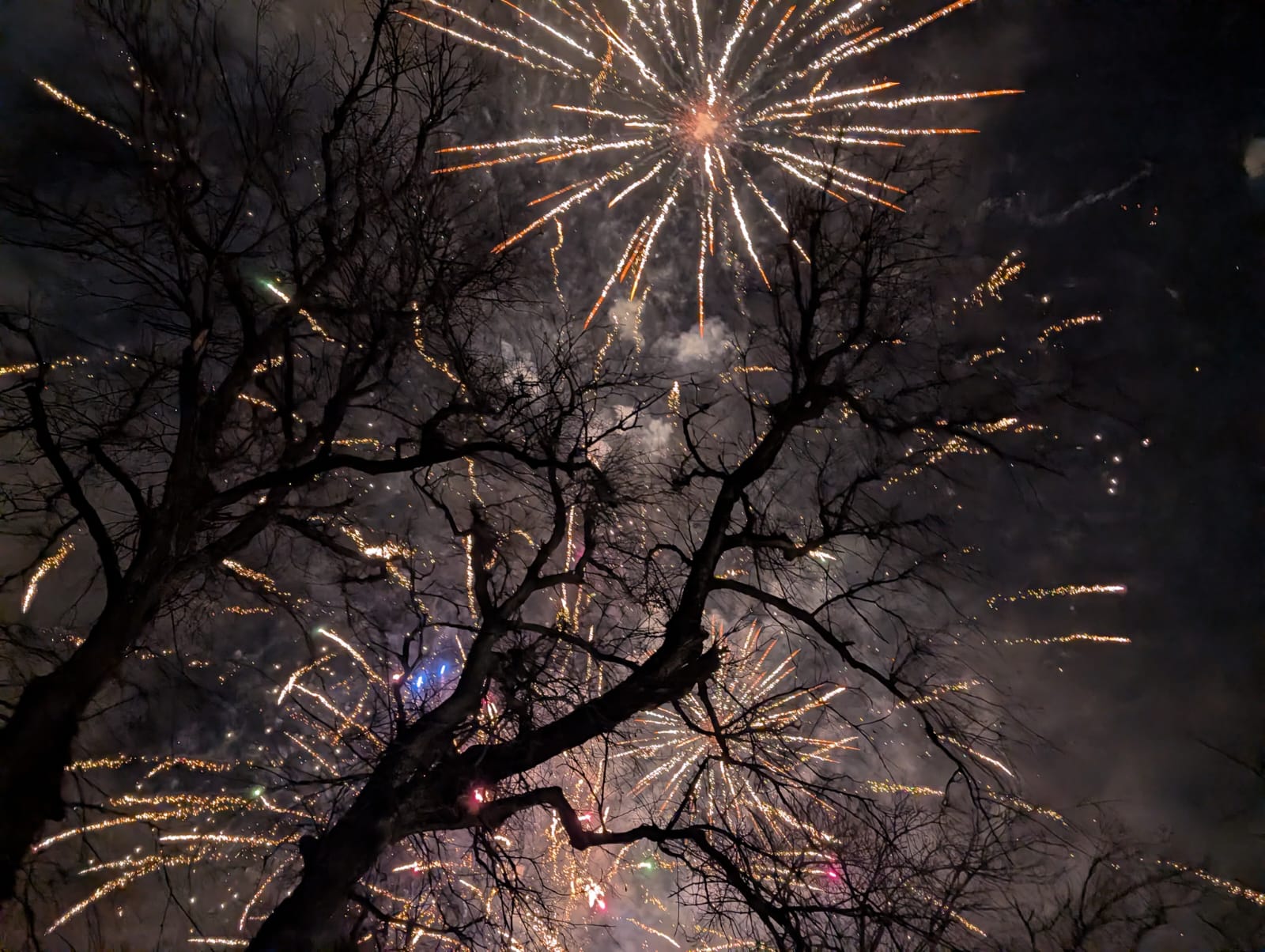 WhatsApp Image 2026-01-01 at 00.04.52