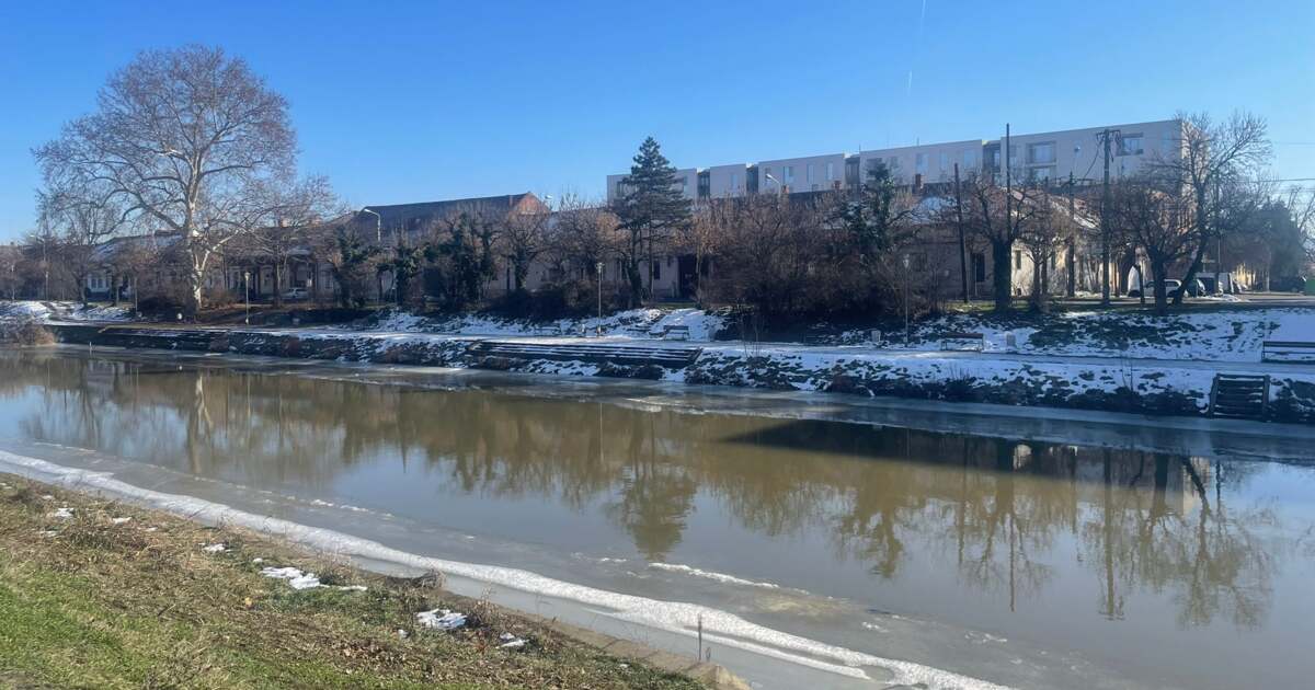 Activitățile zilei de 26 ianuarie 2026 în Timișoara: Ce nu trebuie ratat? Activitățile zilei de 26 ianuarie 2026 în Timișoara: Ce nu trebuie ratat?