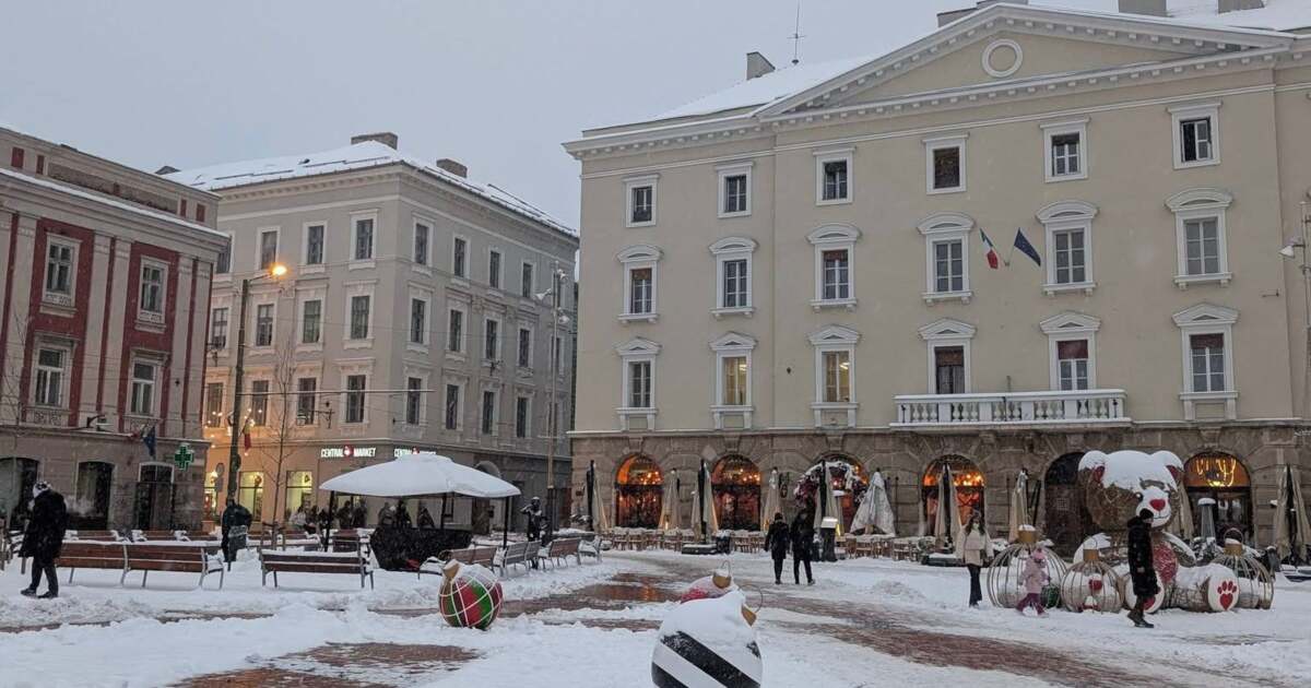 Activități interesante în Timișoara pe 14 ianuarie 2026: Descoperă ce te așteaptă! Activități interesante în Timișoara pe 14 ianuarie 2026: Descoperă ce te așteaptă!