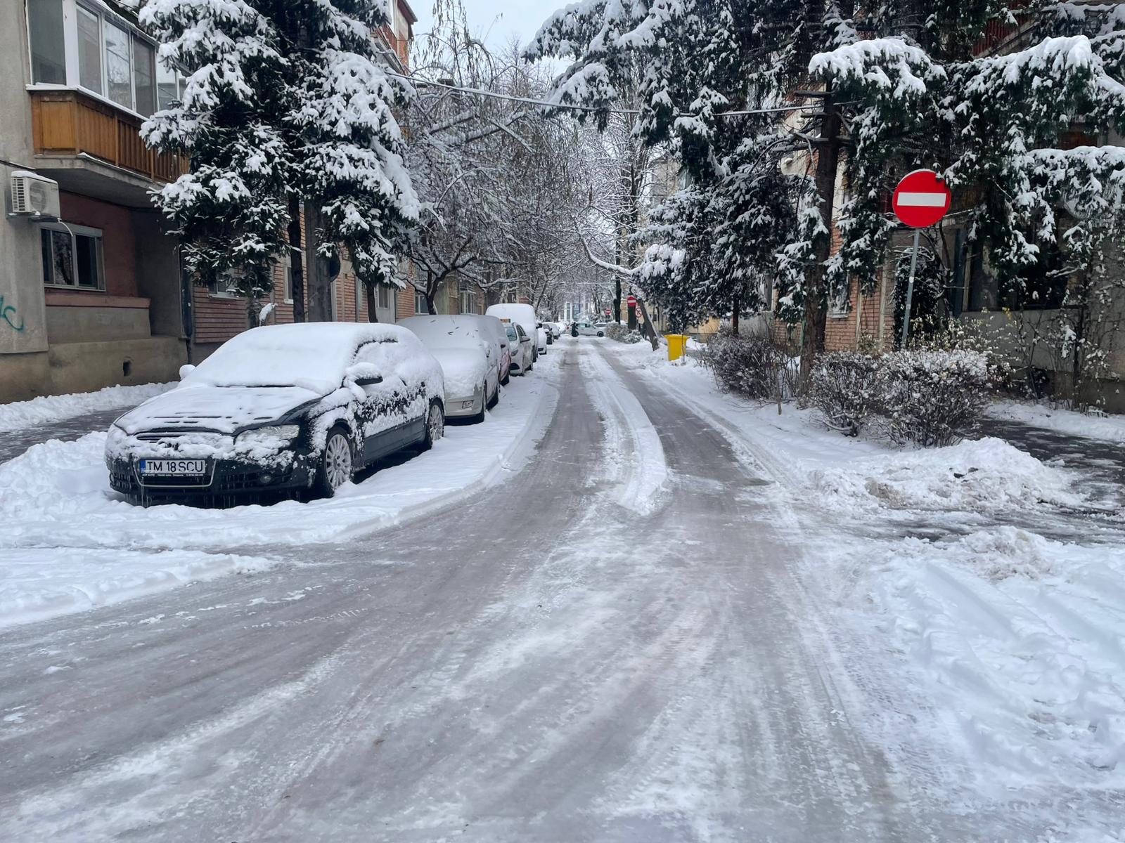 străzi ninsoare Timișoara (1)