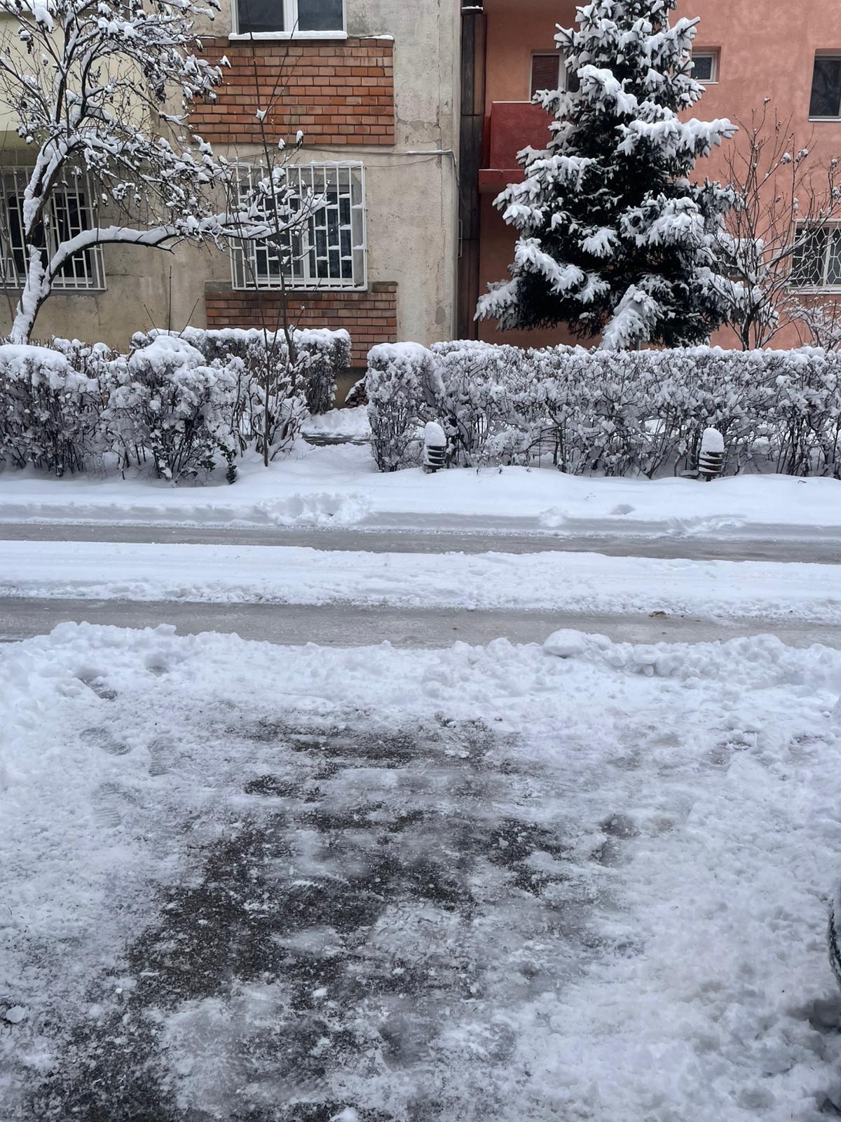 străzi ninsoare Timișoara (5)