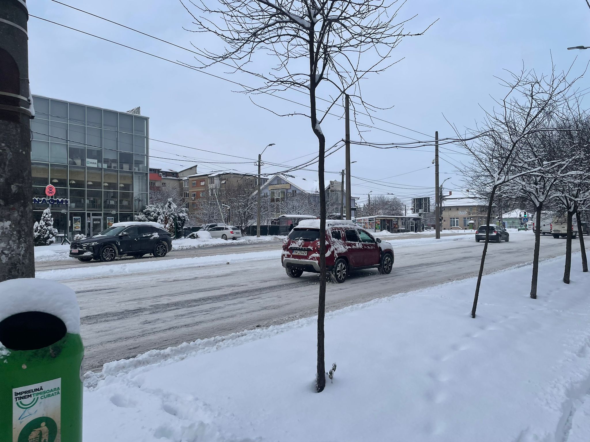 străzi ninsoare Timișoara (7)