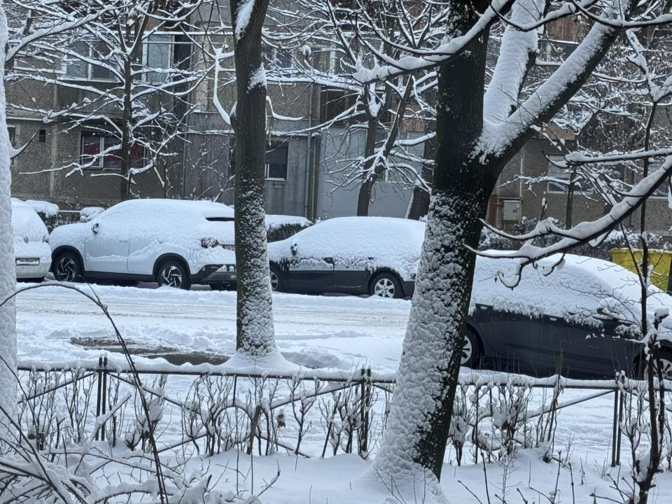 străzi ninsoare Timișoara (5)
