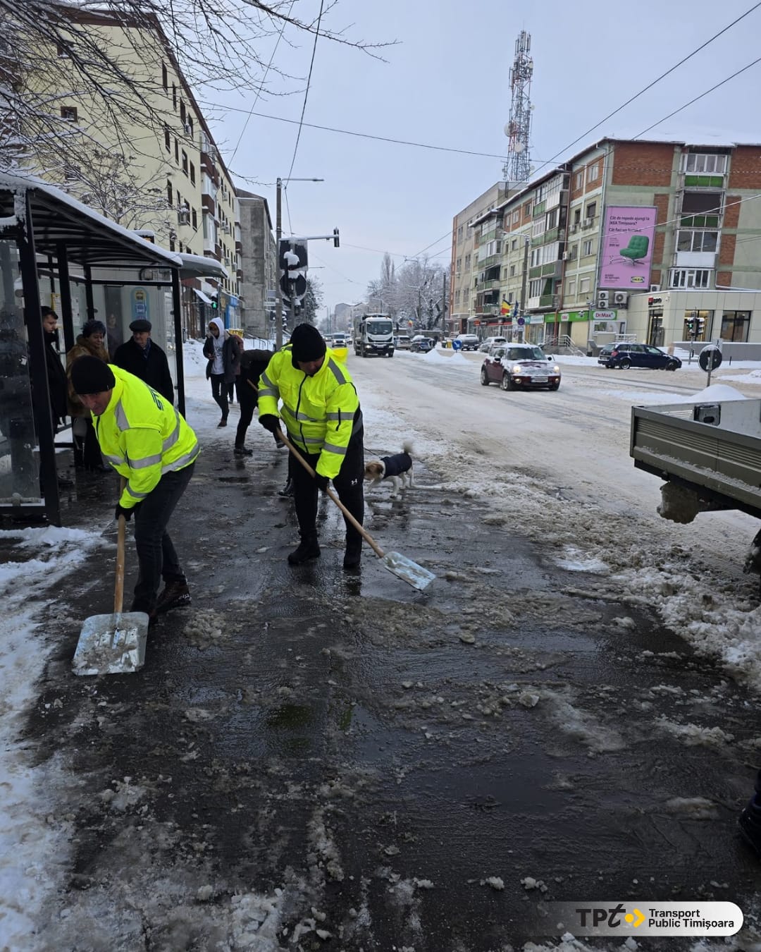 deszăpezire timișoara (3)