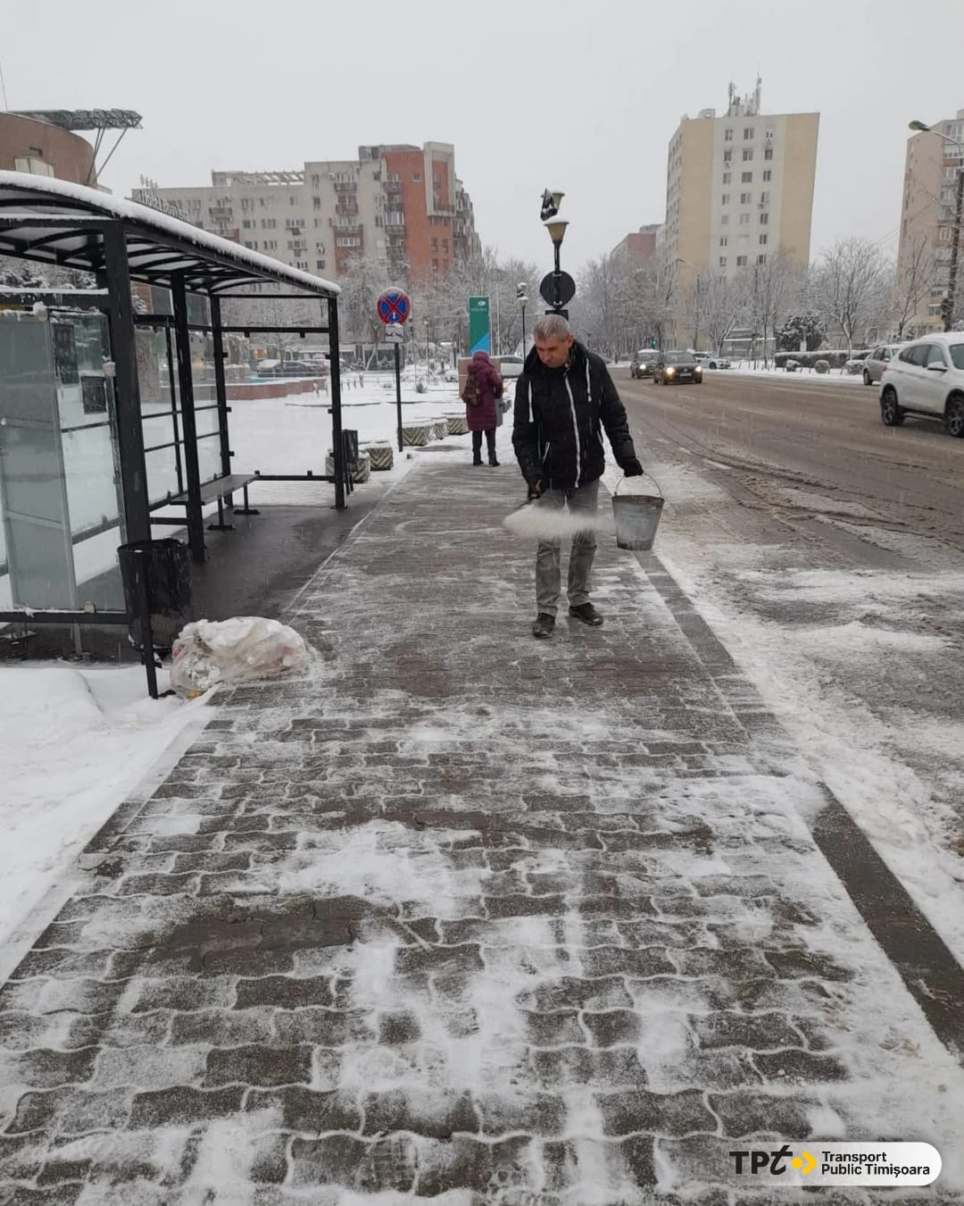 deszăpezire timișoara (6)