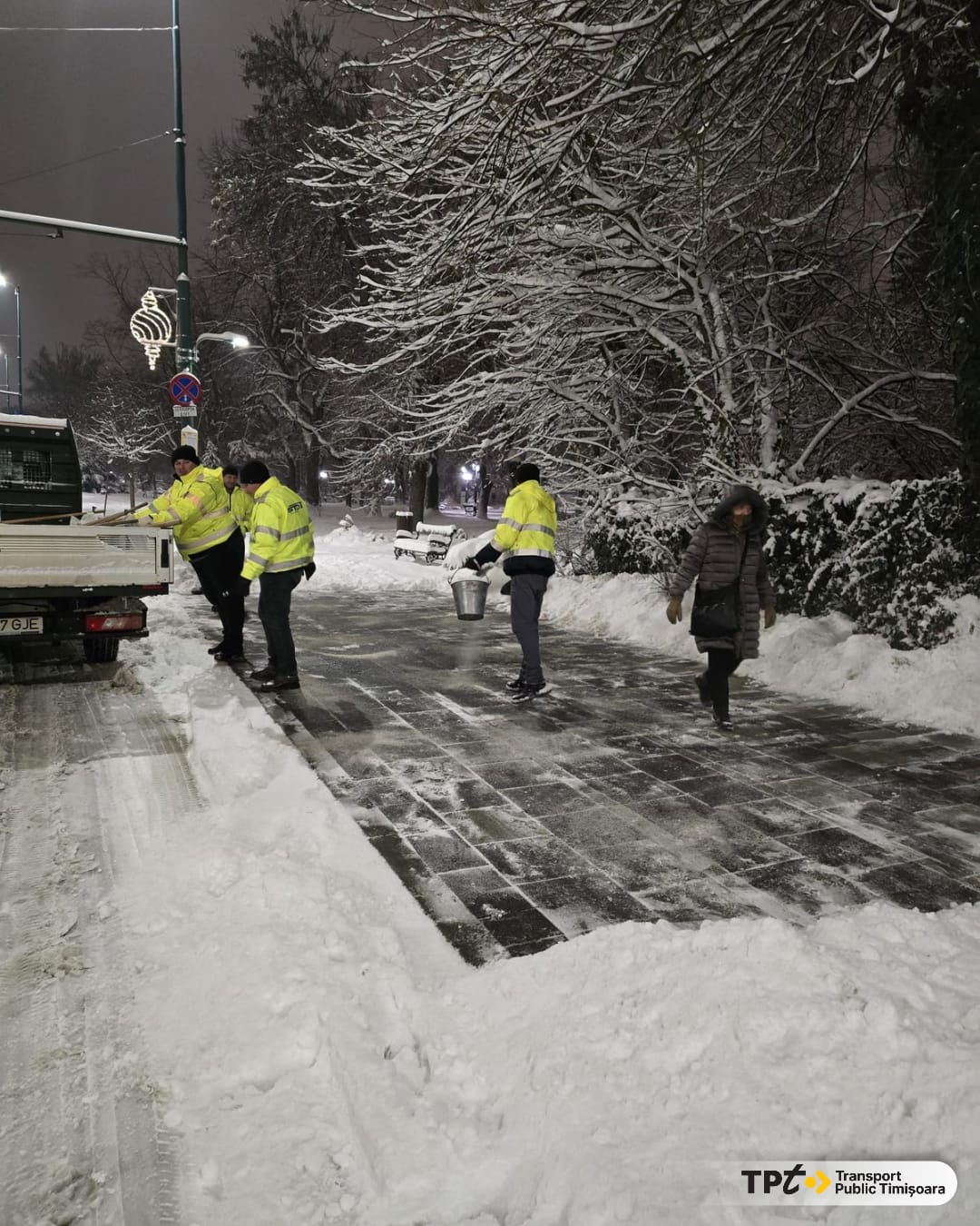 deszăpezire timișoara (7)