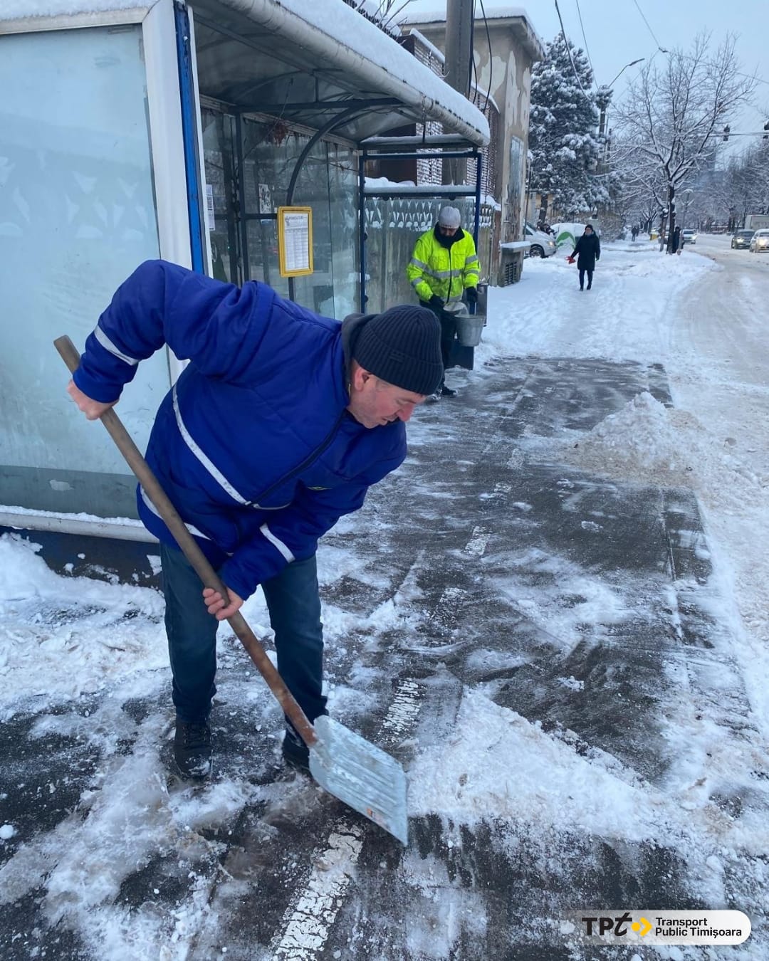 deszăpezire timișoara (8)