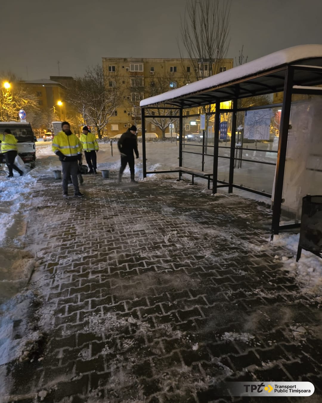 deszăpezire timișoara (10)