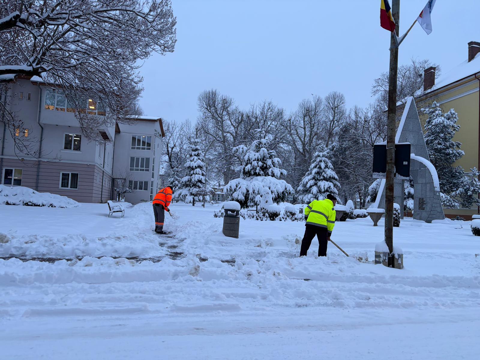 deszapezire lugoj (3)