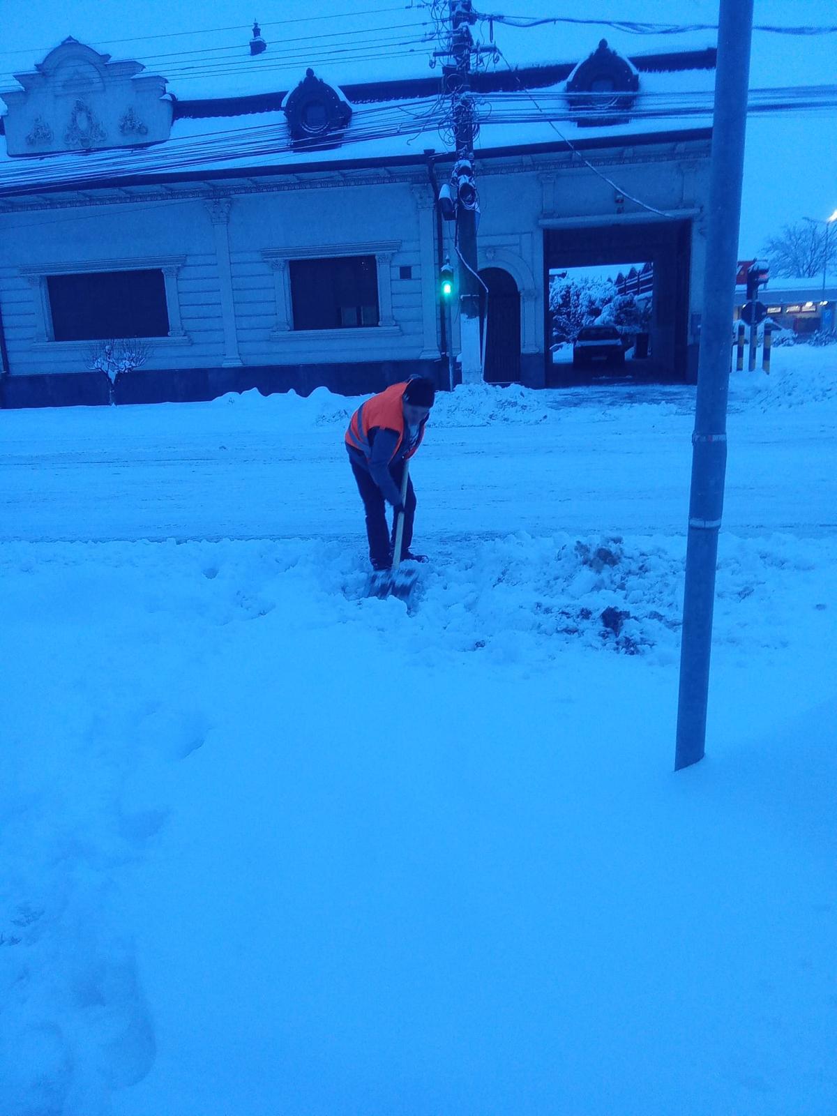 deszapezire lugoj (4)