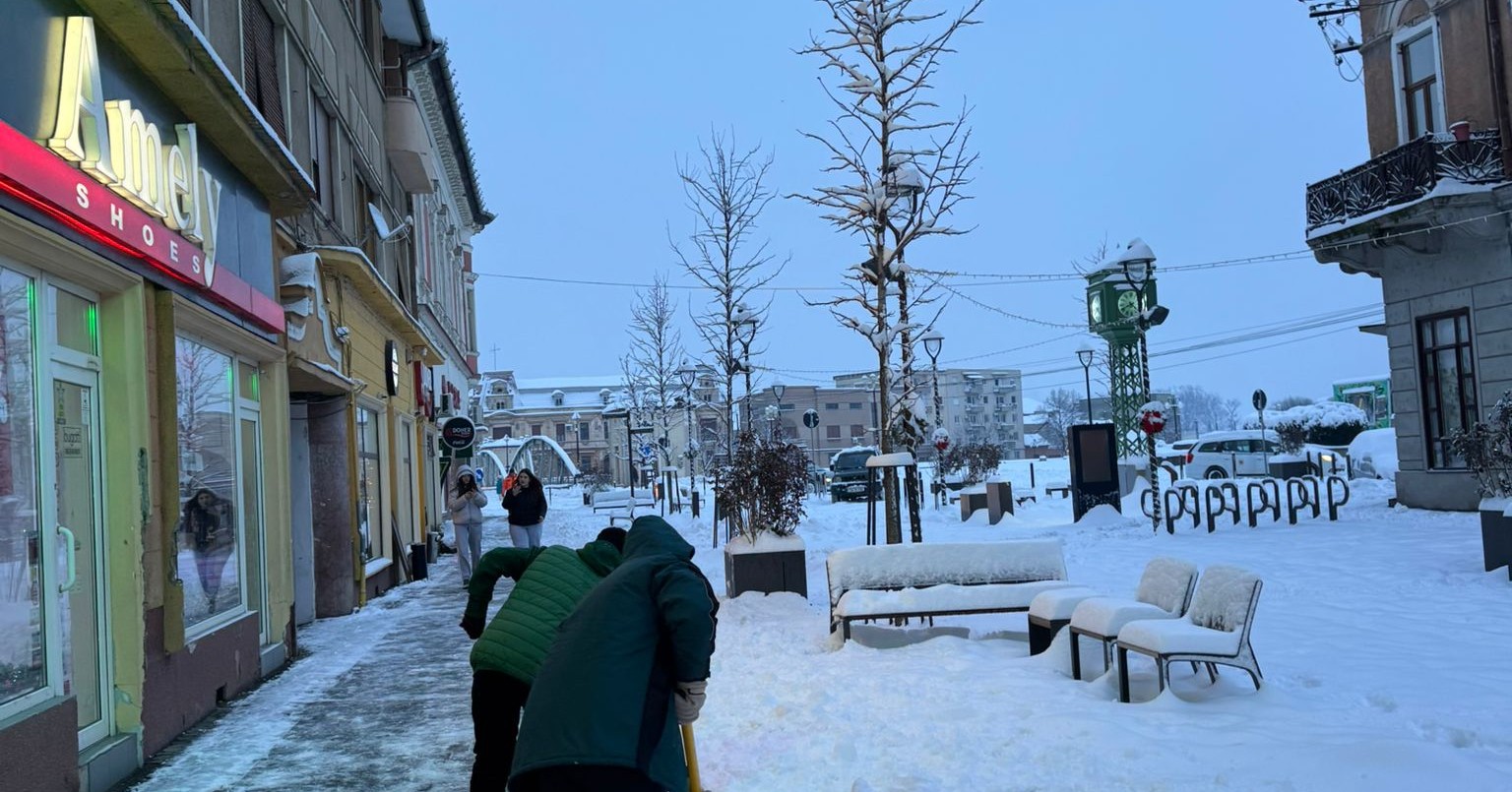 deszapezire lugoj (7)