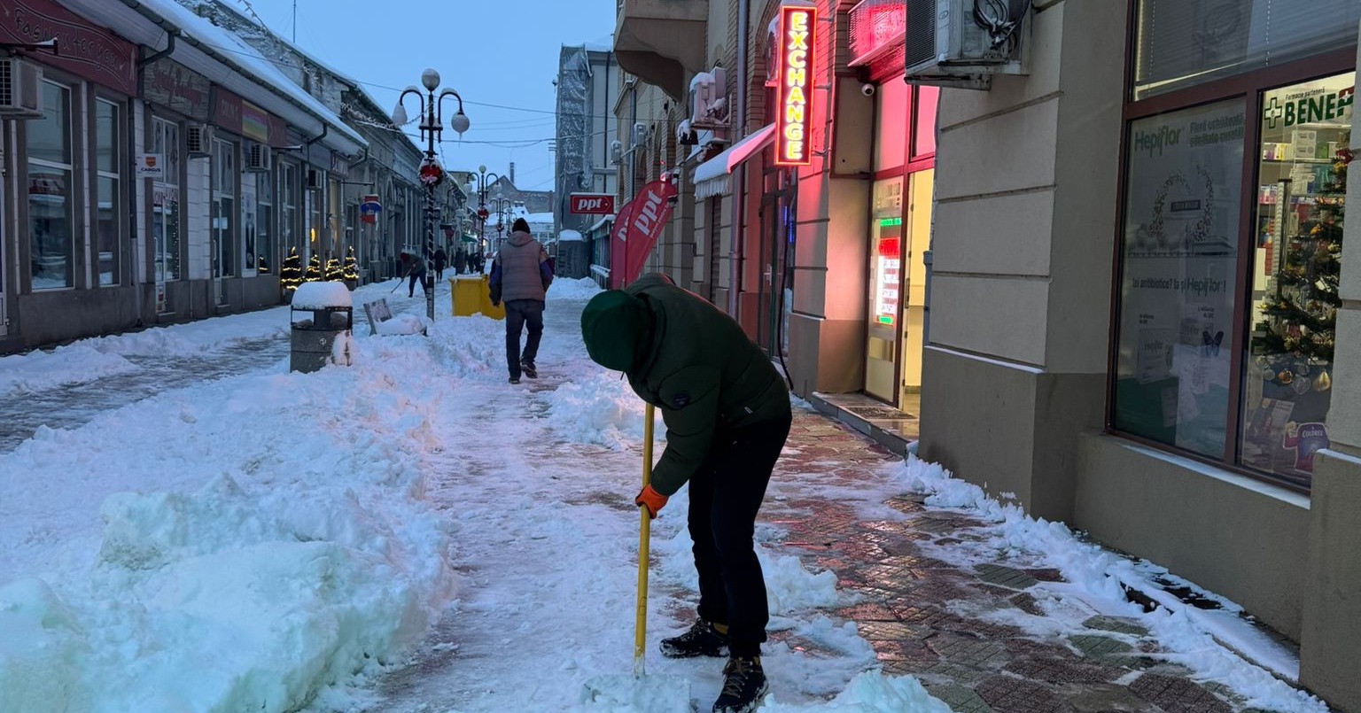 deszapezire lugoj (8)