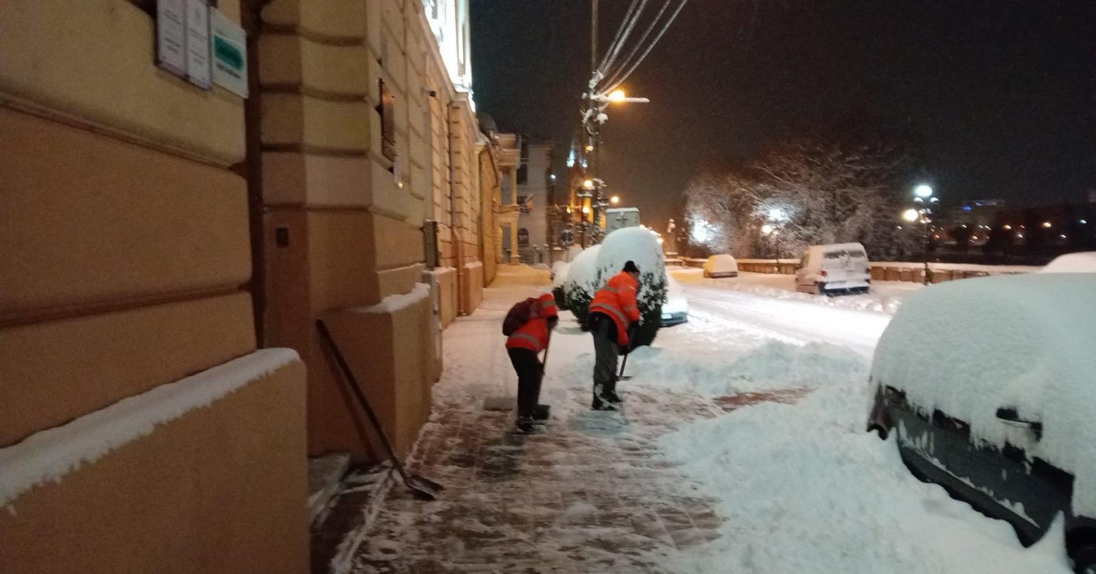 deszapezire lugoj (9)