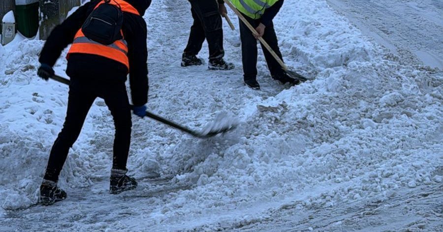 deszapezire lugoj (10)