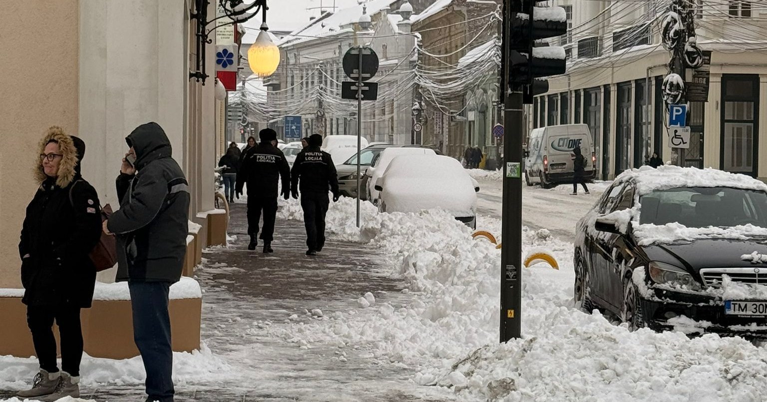 deszapezire lugoj (12)