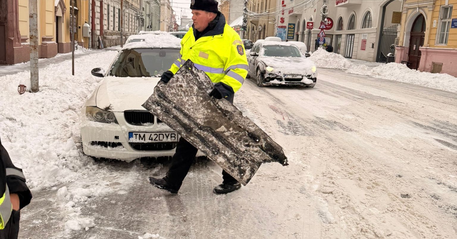 deszapezire lugoj (2)