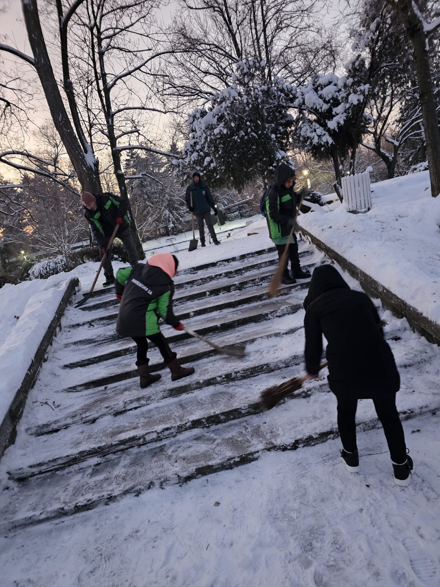 deszăpezire 9 ianuarie timișoara (3)