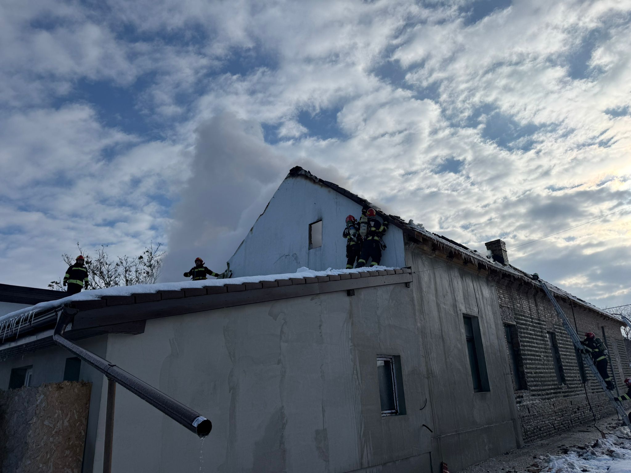 WhatsApp Image 2026-01-11 at 11.32.15