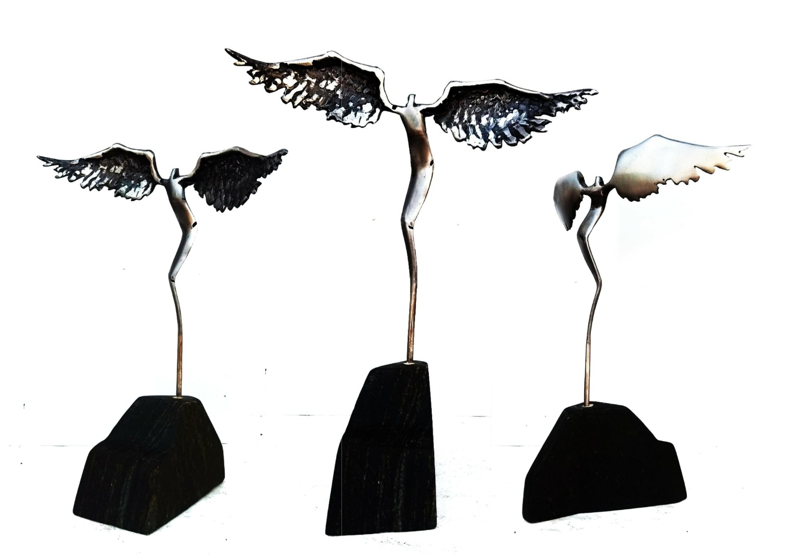 nectar Image 2026-01-06 at 08.59.14 (5)