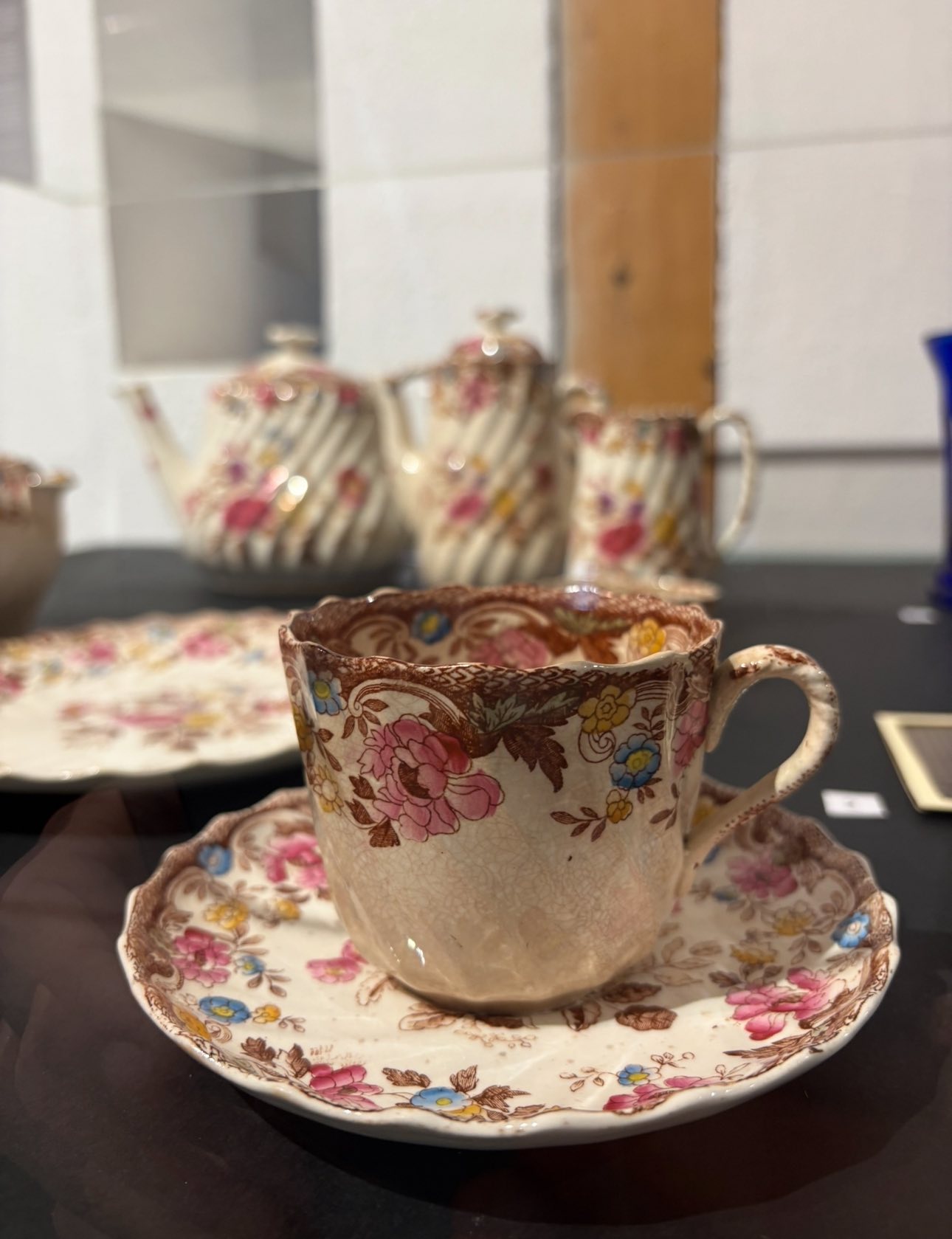 cesti expozitie burghezie muzeul banatului (3)