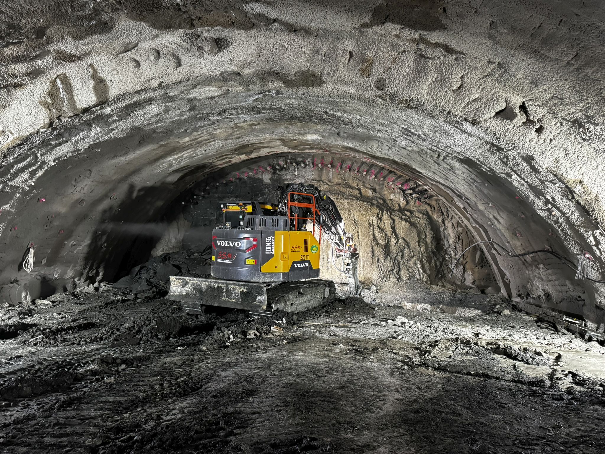 margina holdea ianuarie 2026 (24)