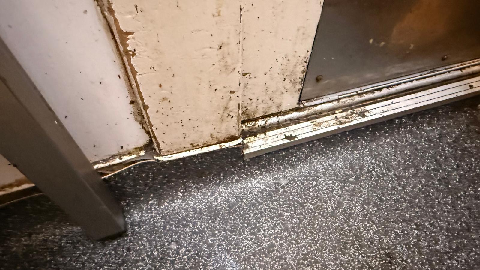 WhatsApp Image 2026-01-21 at 17.01.19