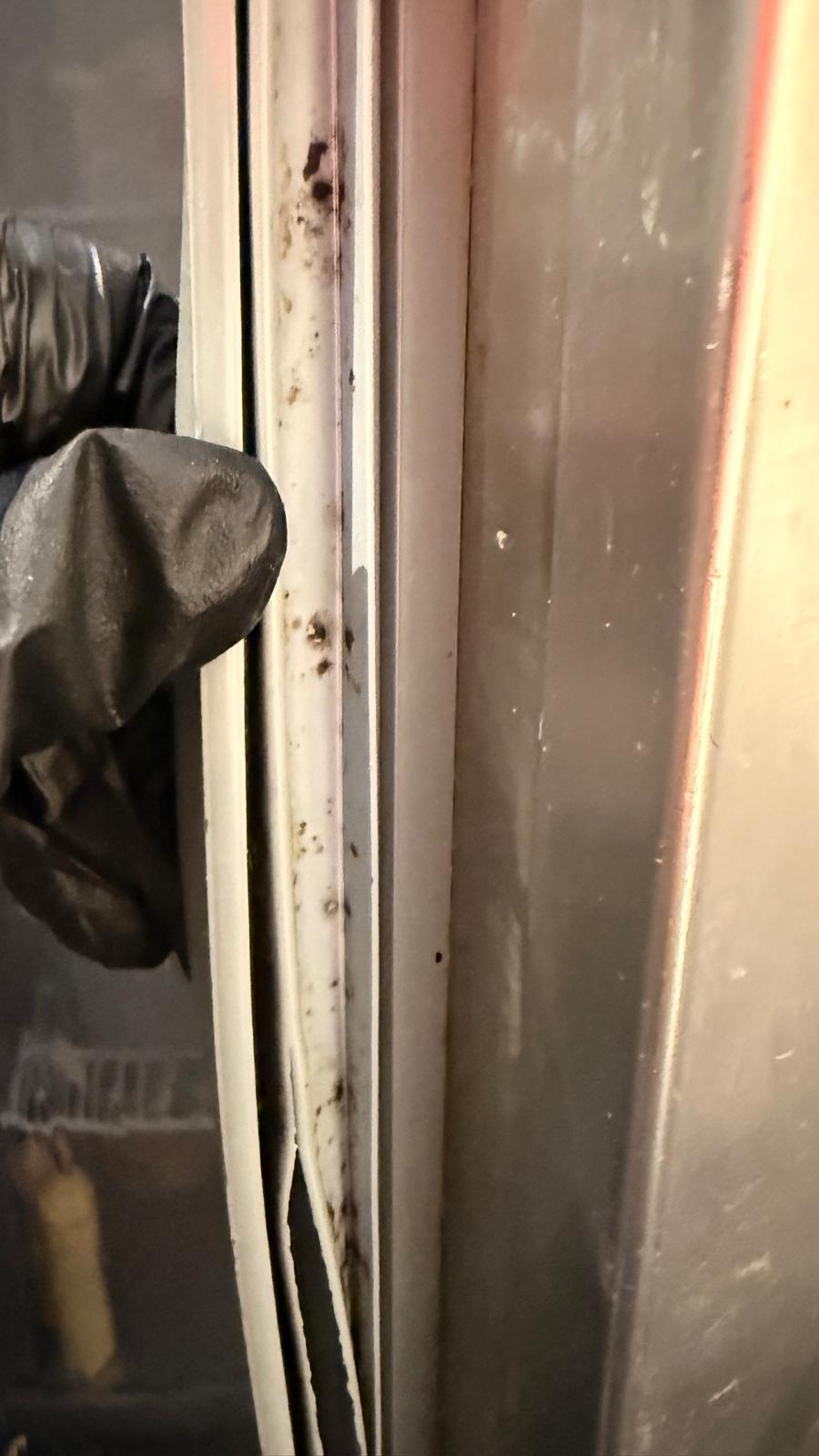 WhatsApp Image 2026-01-21 at 17.01.14 (1)